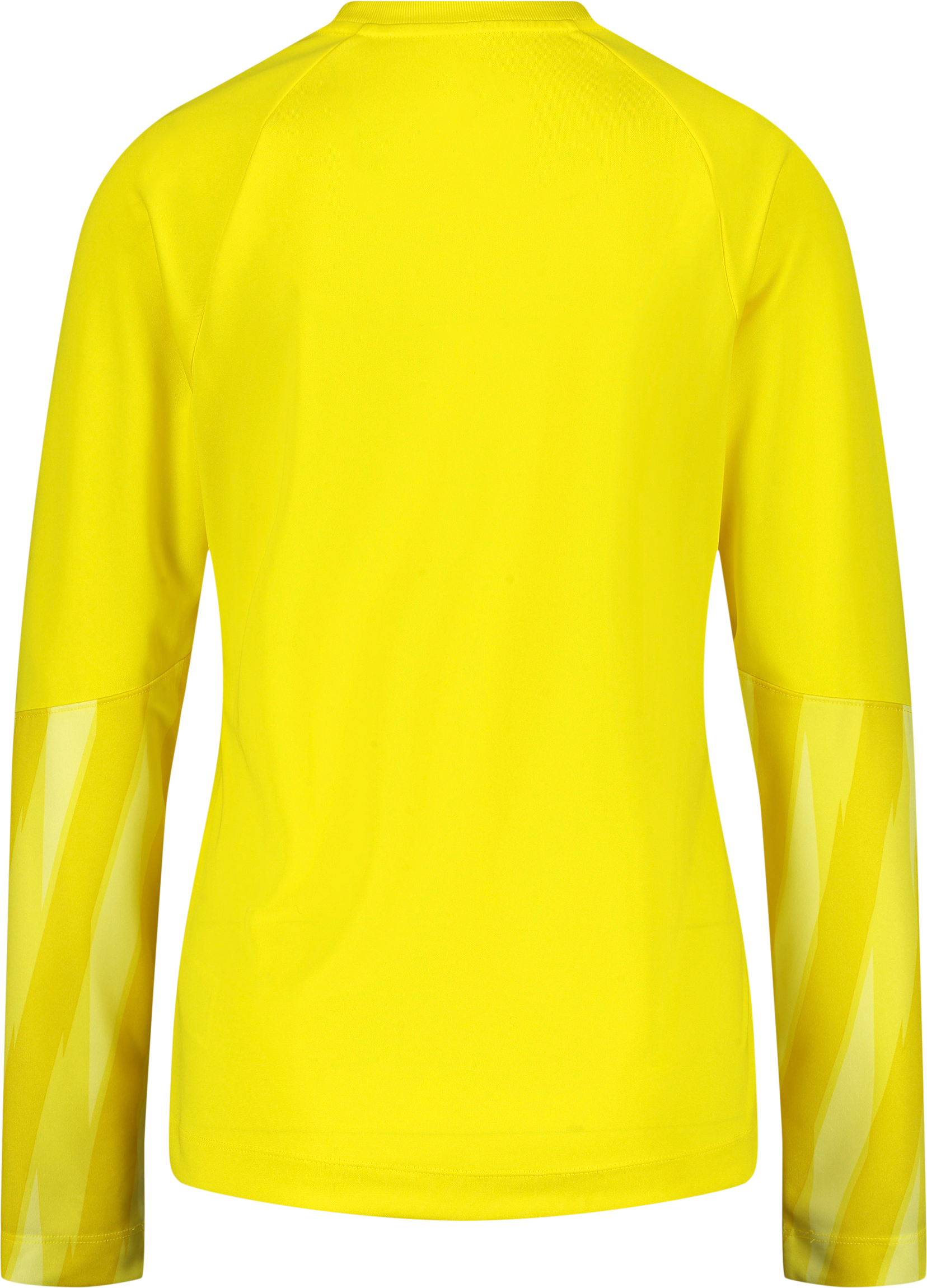 NIKE, PARK V GK LS JSY W