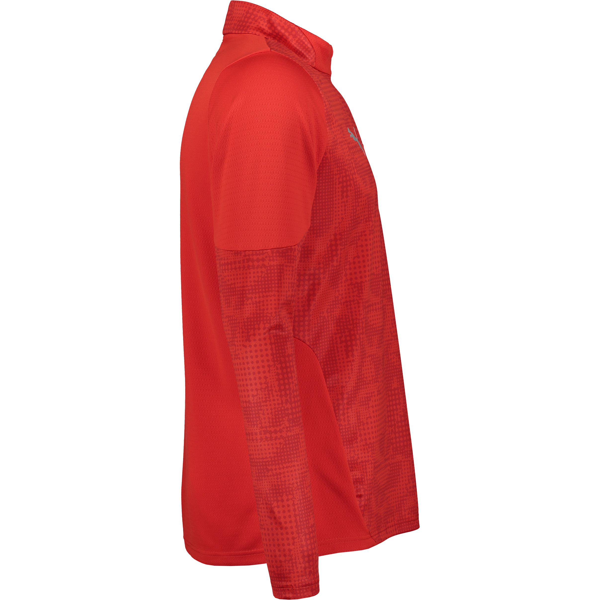 PUMA, Teamcup Training 1/4 Zip