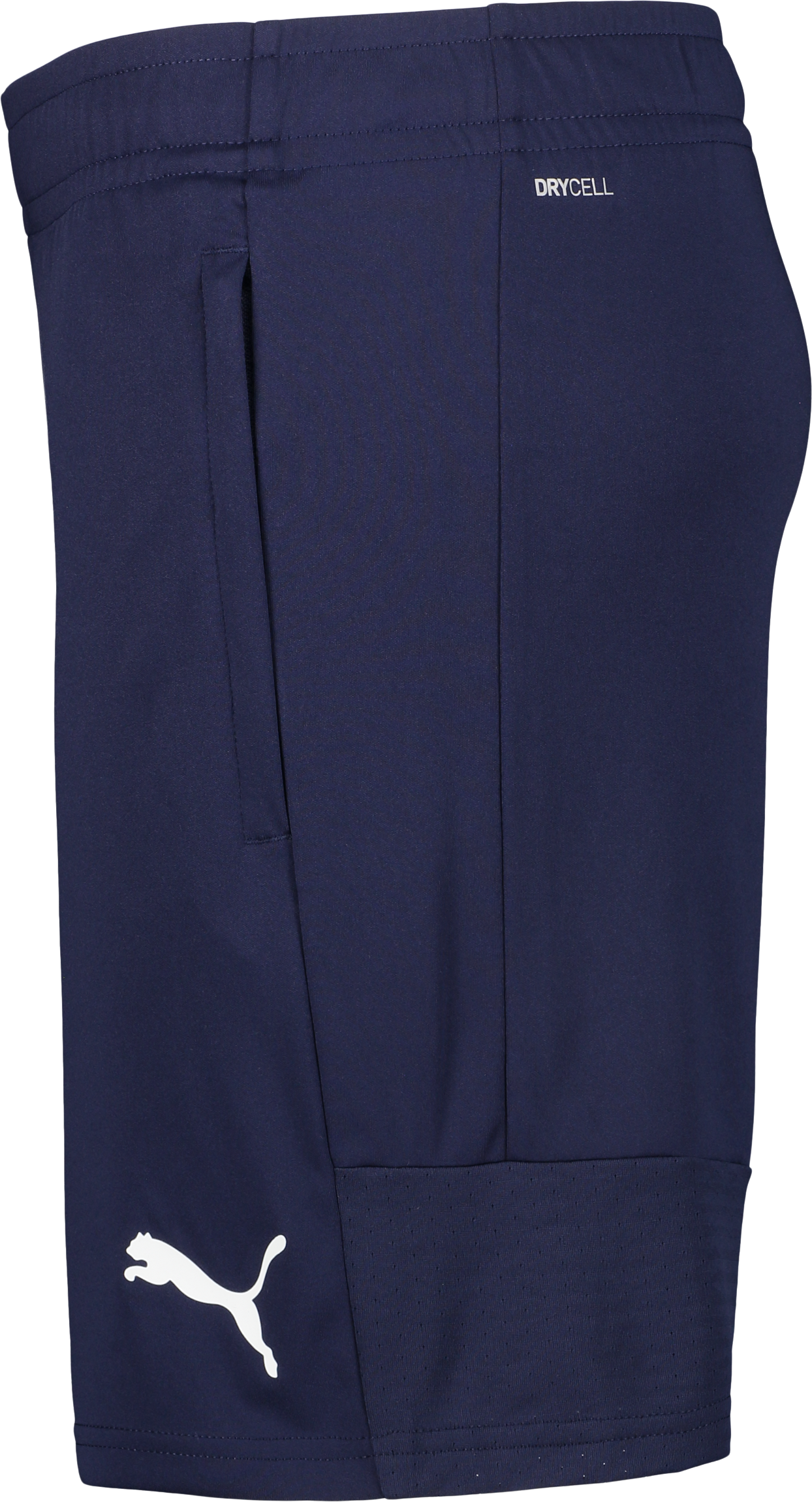 PUMA, TEAMLIGA TRAINING SHORTS