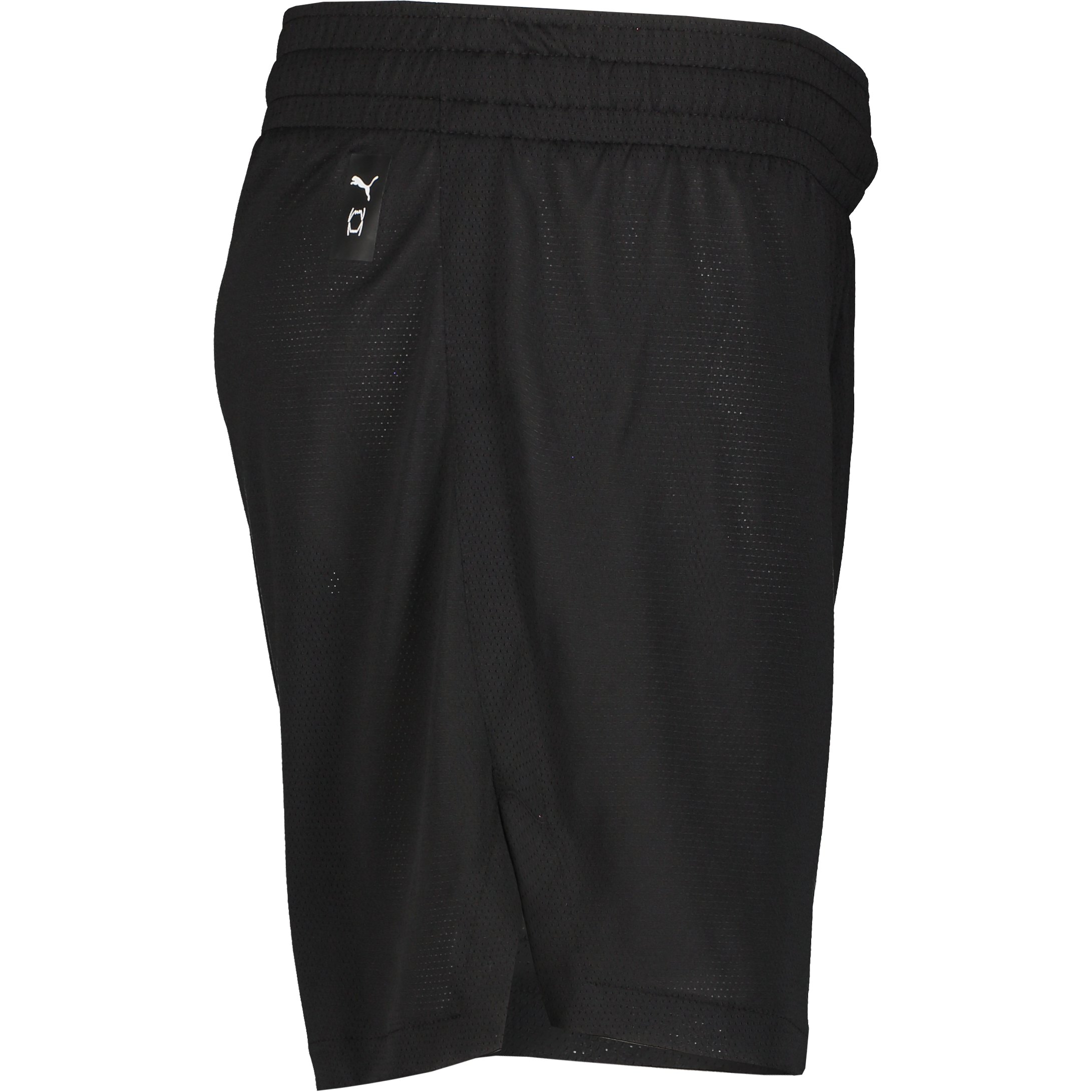 PUMA, TEAMJAWS PRACTICE SHORTS JR