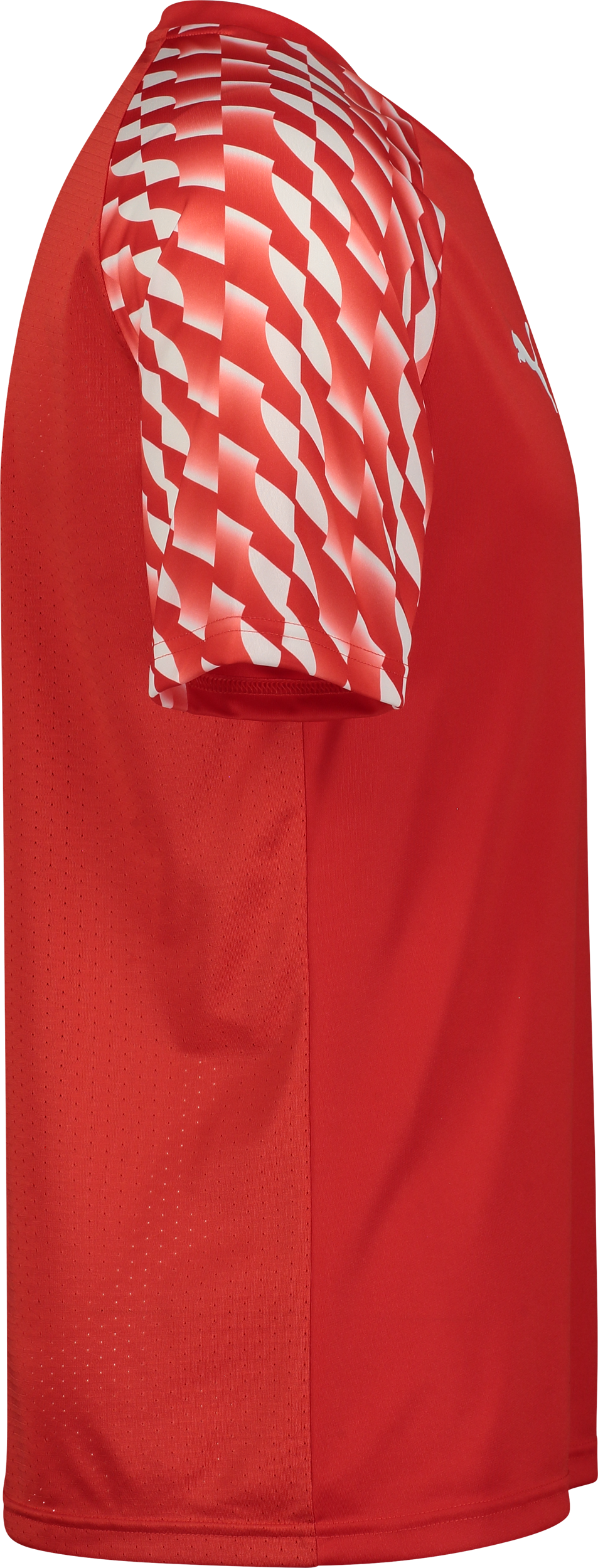 PUMA, TEAMLIGA26 JERSEY JR