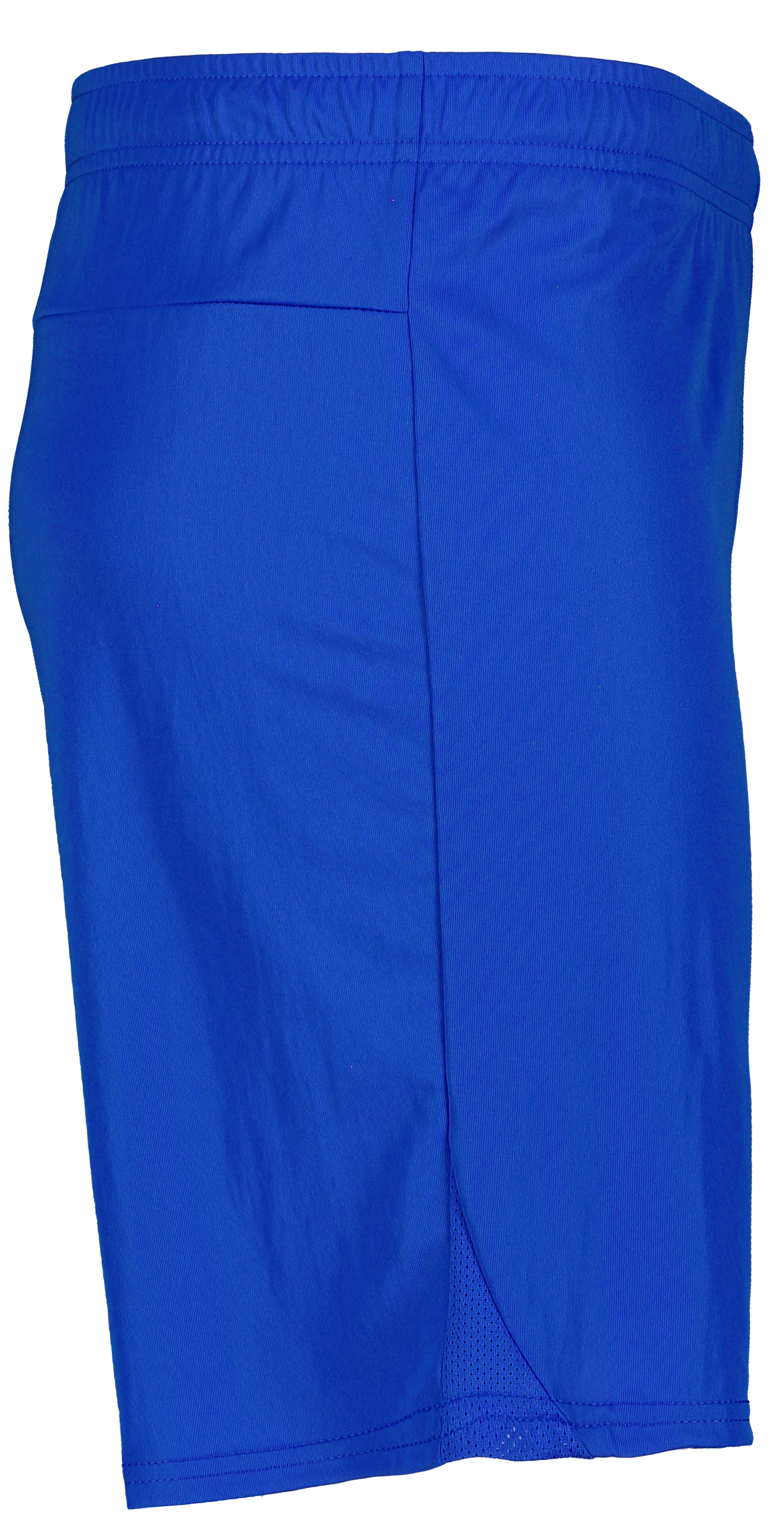 PUMA, T Goal Shorts