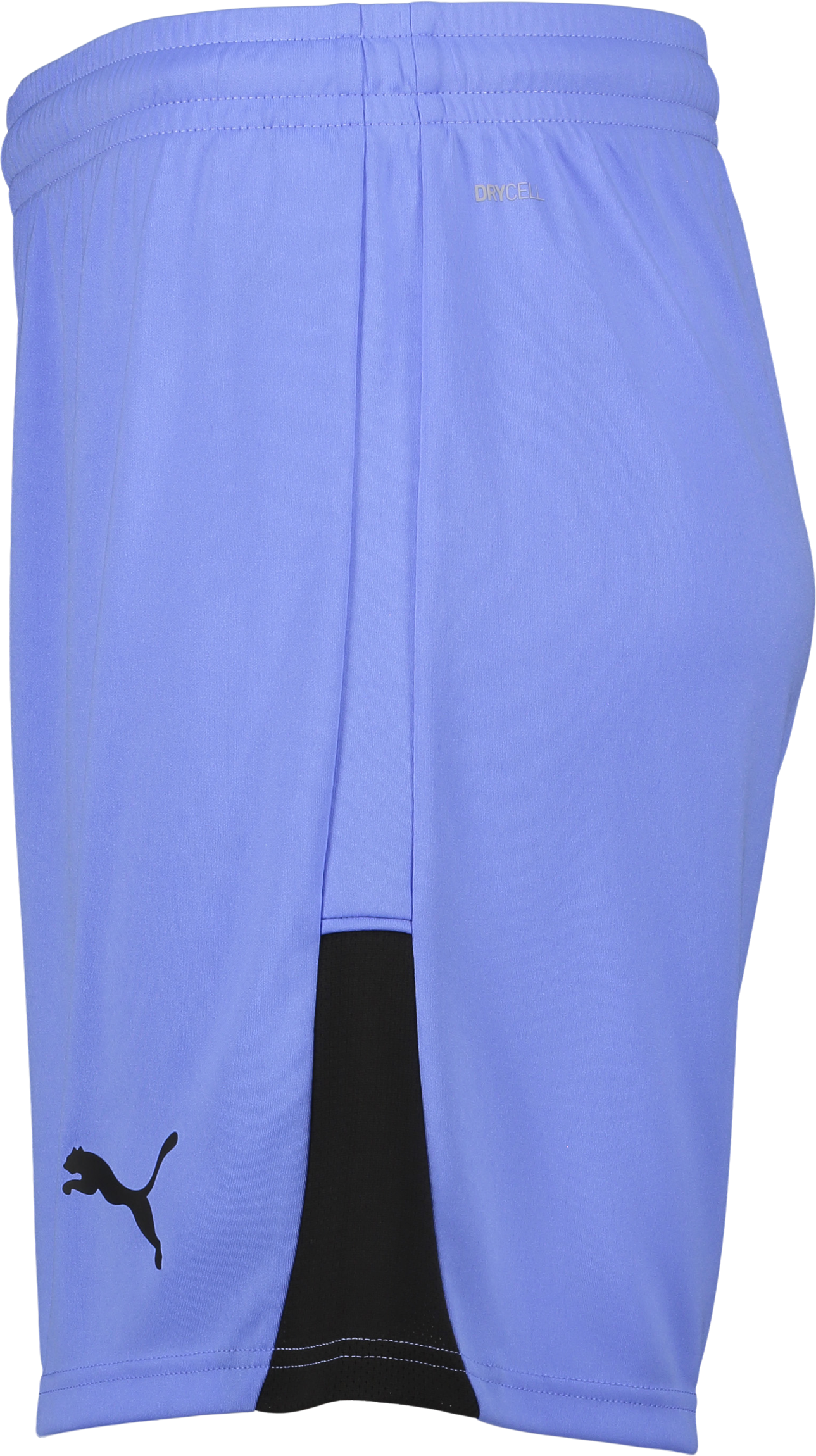 PUMA, TEAMLIGA26 SHORTS