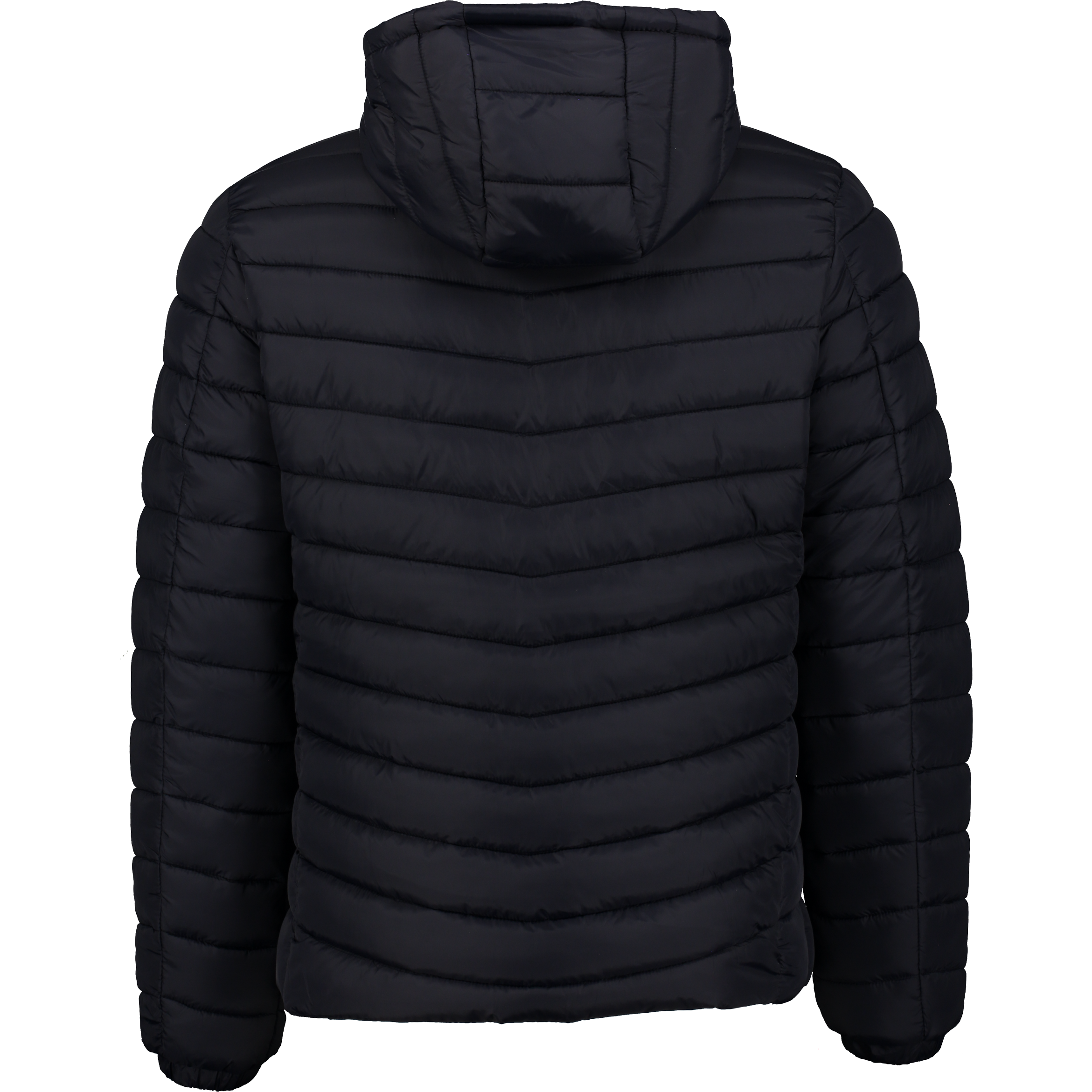 ST VINCENT POLO CLUB, Noah Jkt M