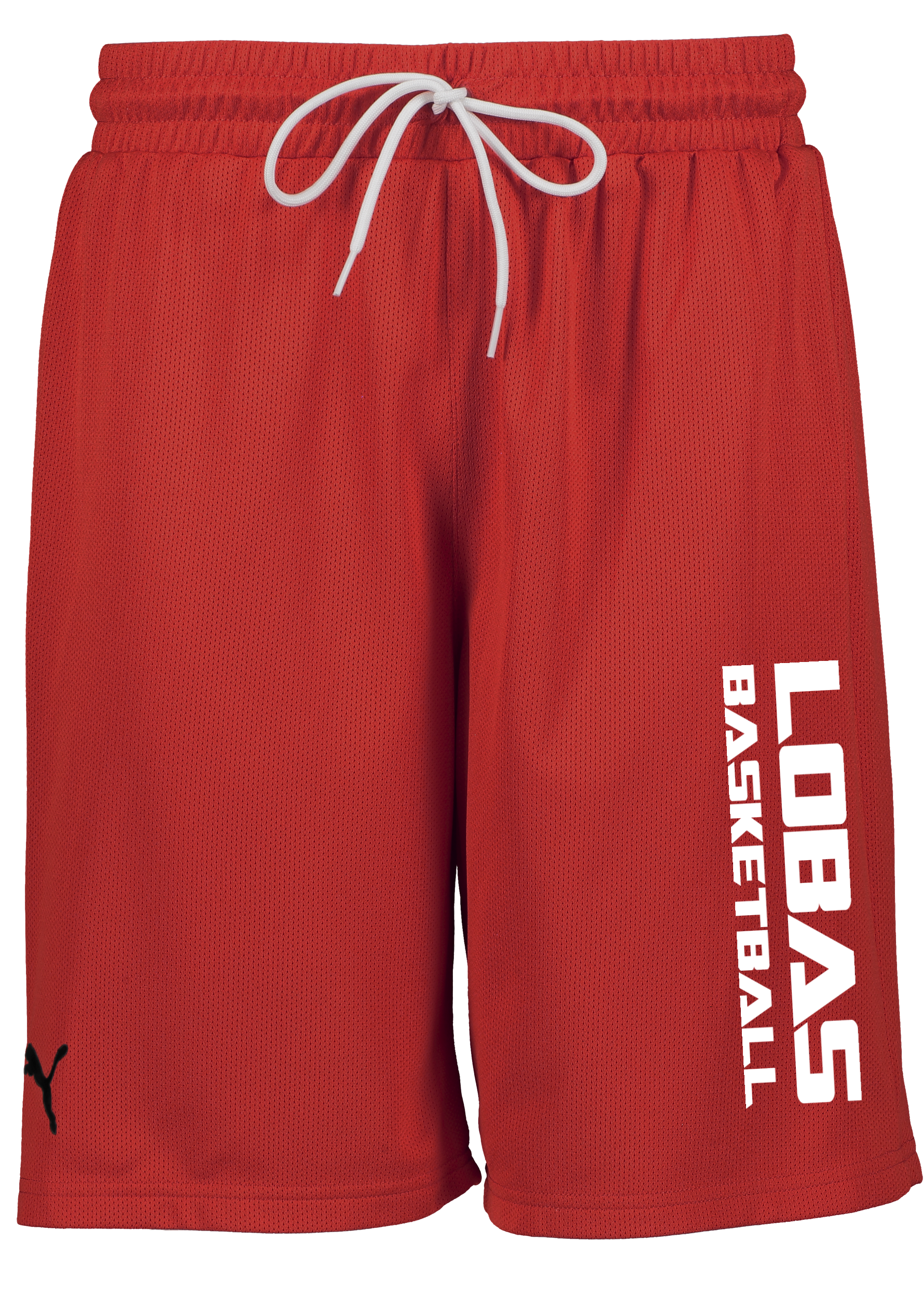 
PUMA, 
Hoops Team Practice Short, 
Detail 1
