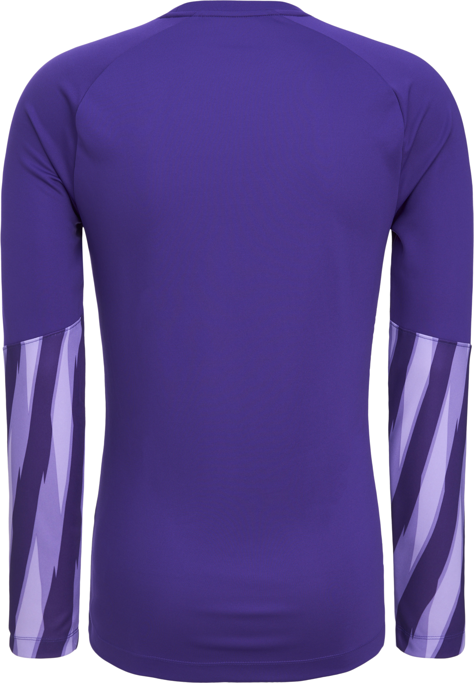 NIKE, PARK V GK LS JSY JR