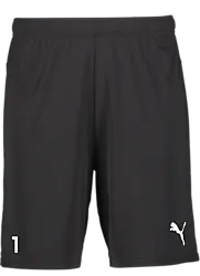 391942103101 PUMA T Goal Shorts 391942103101 PUMA T Goal Shorts Standard Small1x1