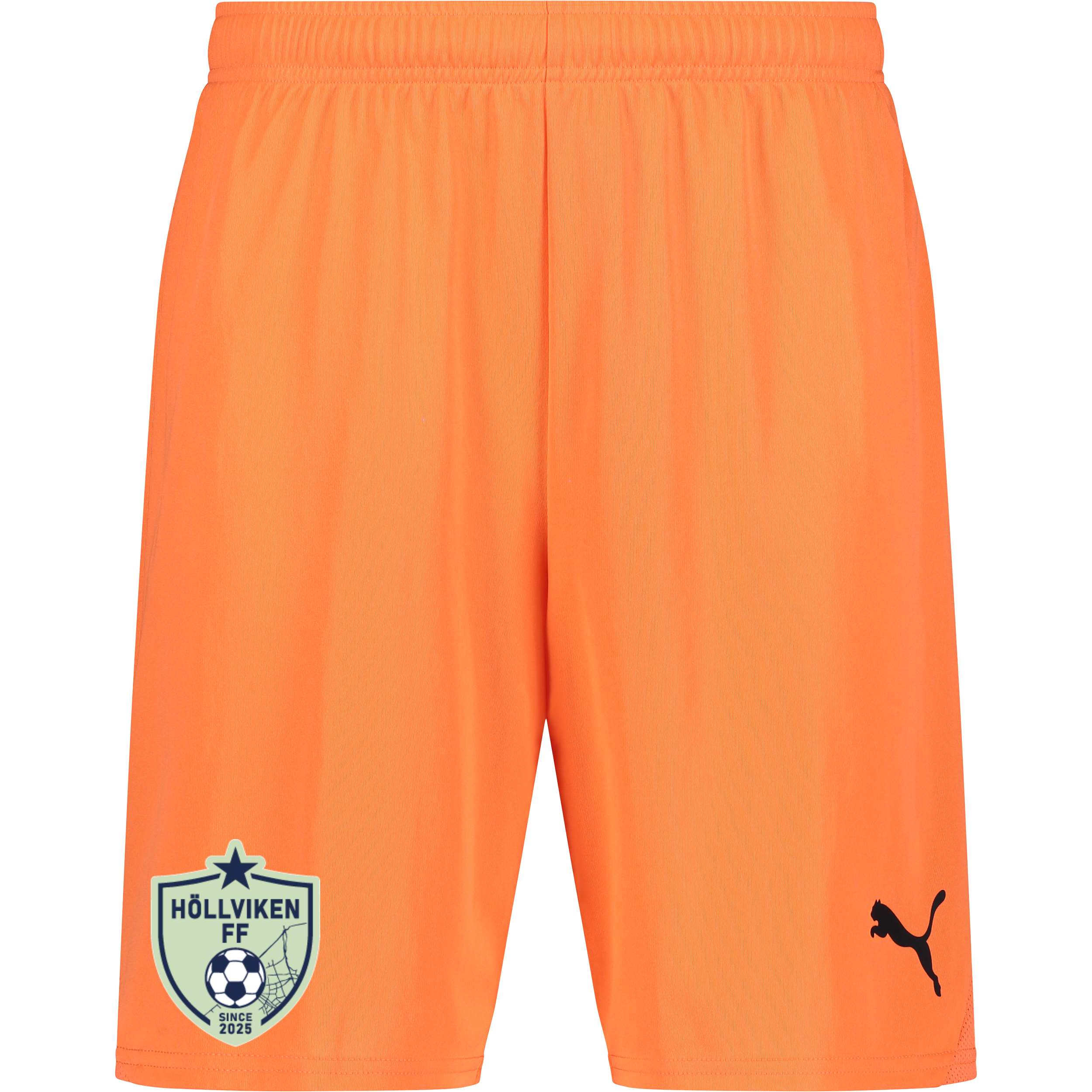 
PUMA, 
T Goal Shorts, 
Detail 1
