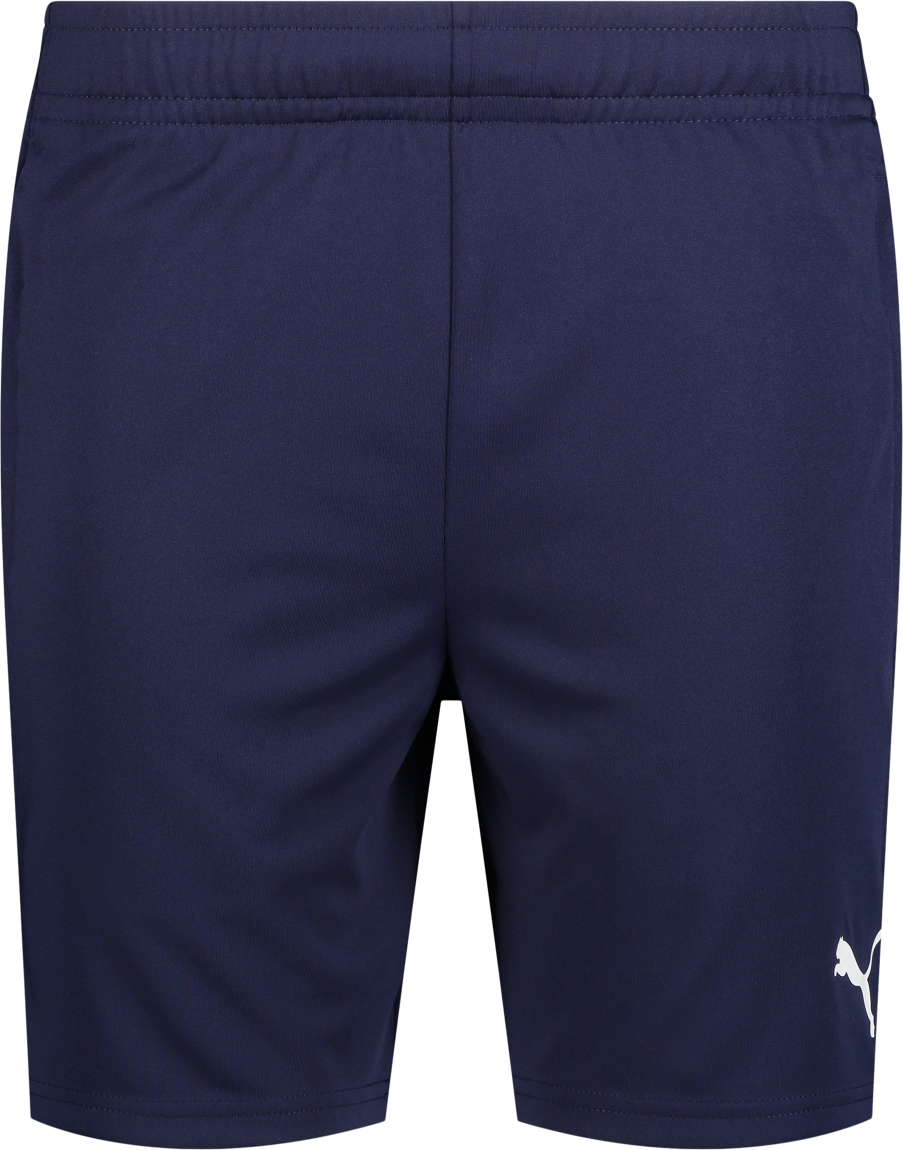 
PUMA, 
TEAMLIGA TRAINING SHORTS, 
Detail 1
