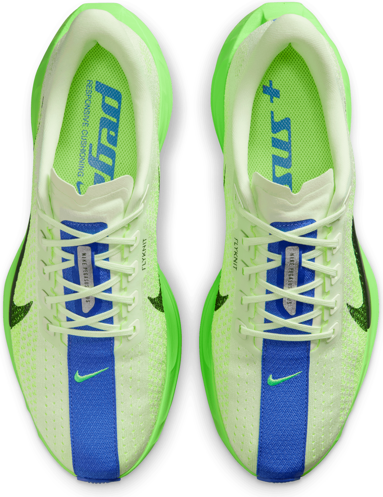 NIKE, M Pegasus Plus