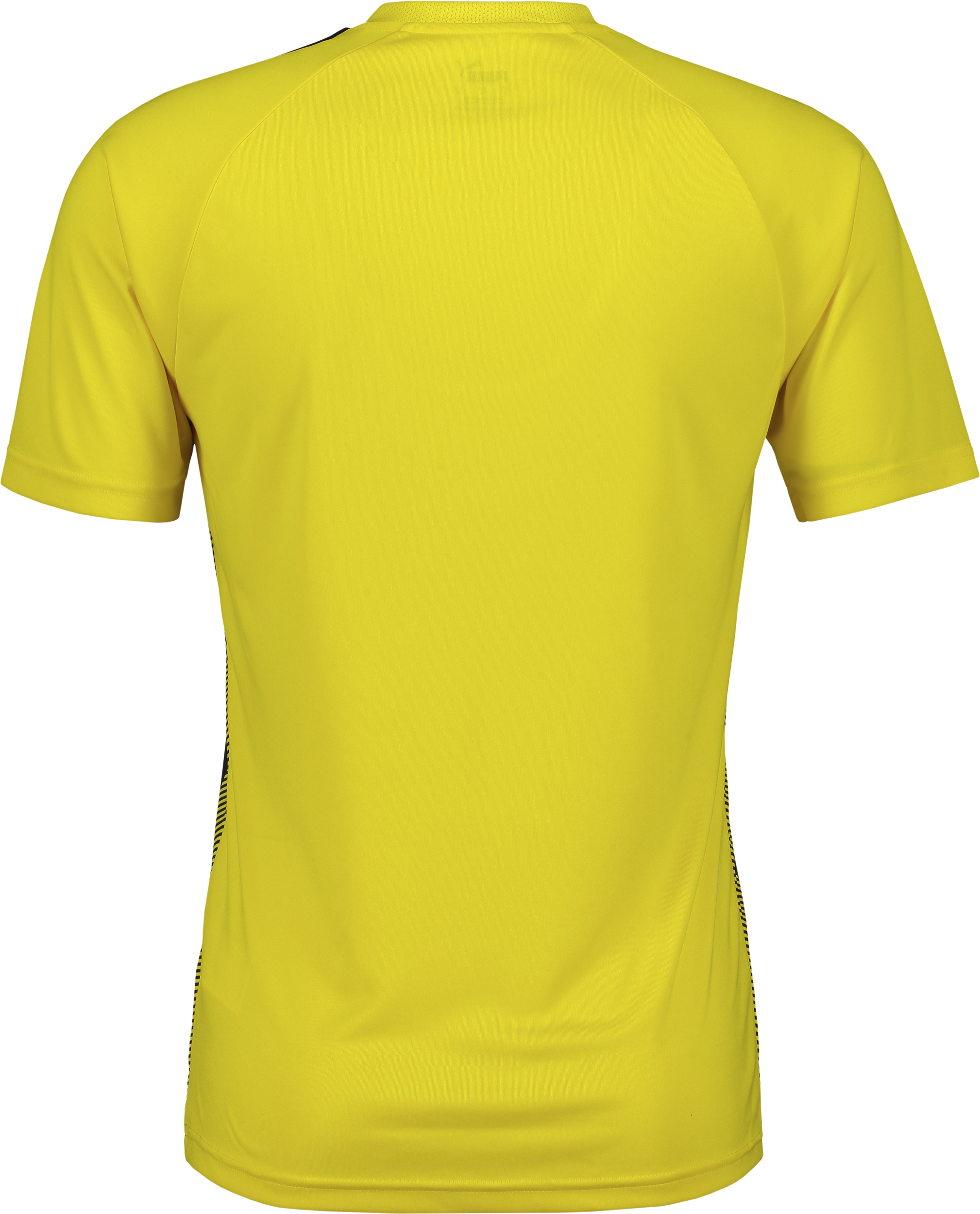 PUMA, T Liga Striped Jsy Jr