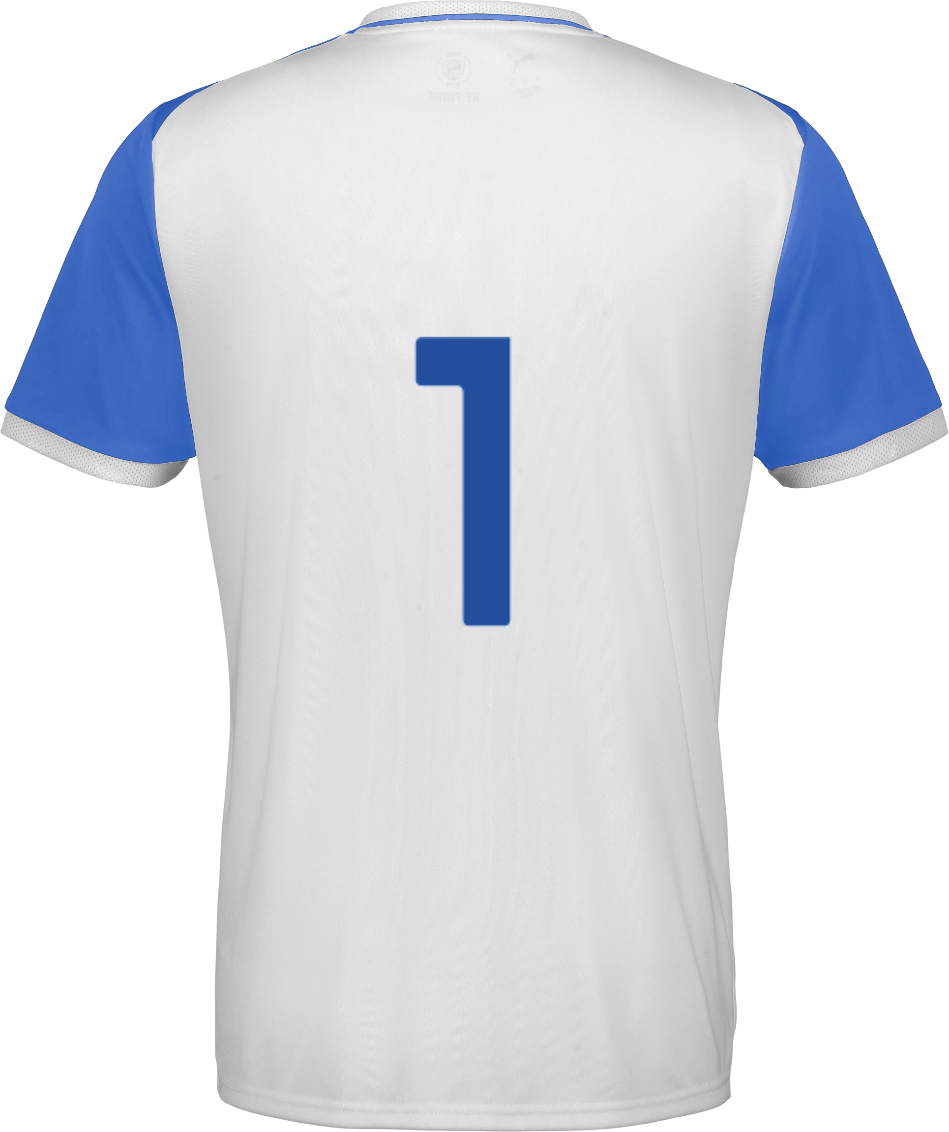 PUMA, TEAMLIGA26 MATCHDAY JERSEY JR