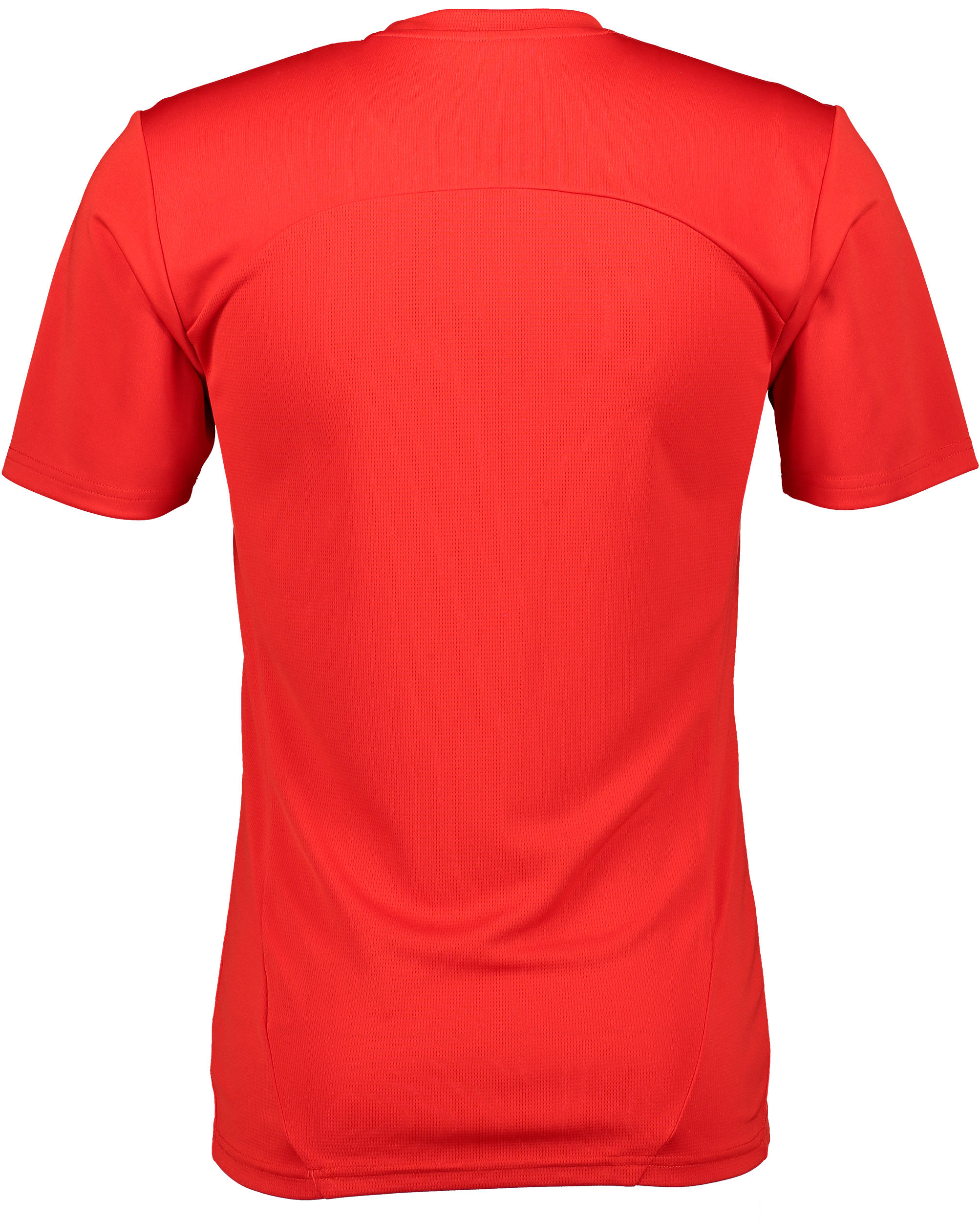 PUMA, T Final Trg Jsy