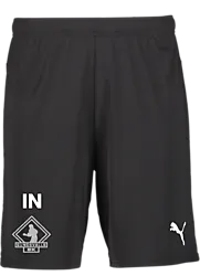 391942103101 PUMA T Goal Shorts 391942103101 PUMA T Goal Shorts Standard Small1x1