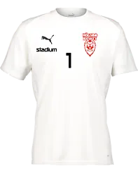 392096104101 PUMA T Goal Trg Jsy Jr 392096104101 PUMA T Goal Trg Jsy Jr Standard Small1x1