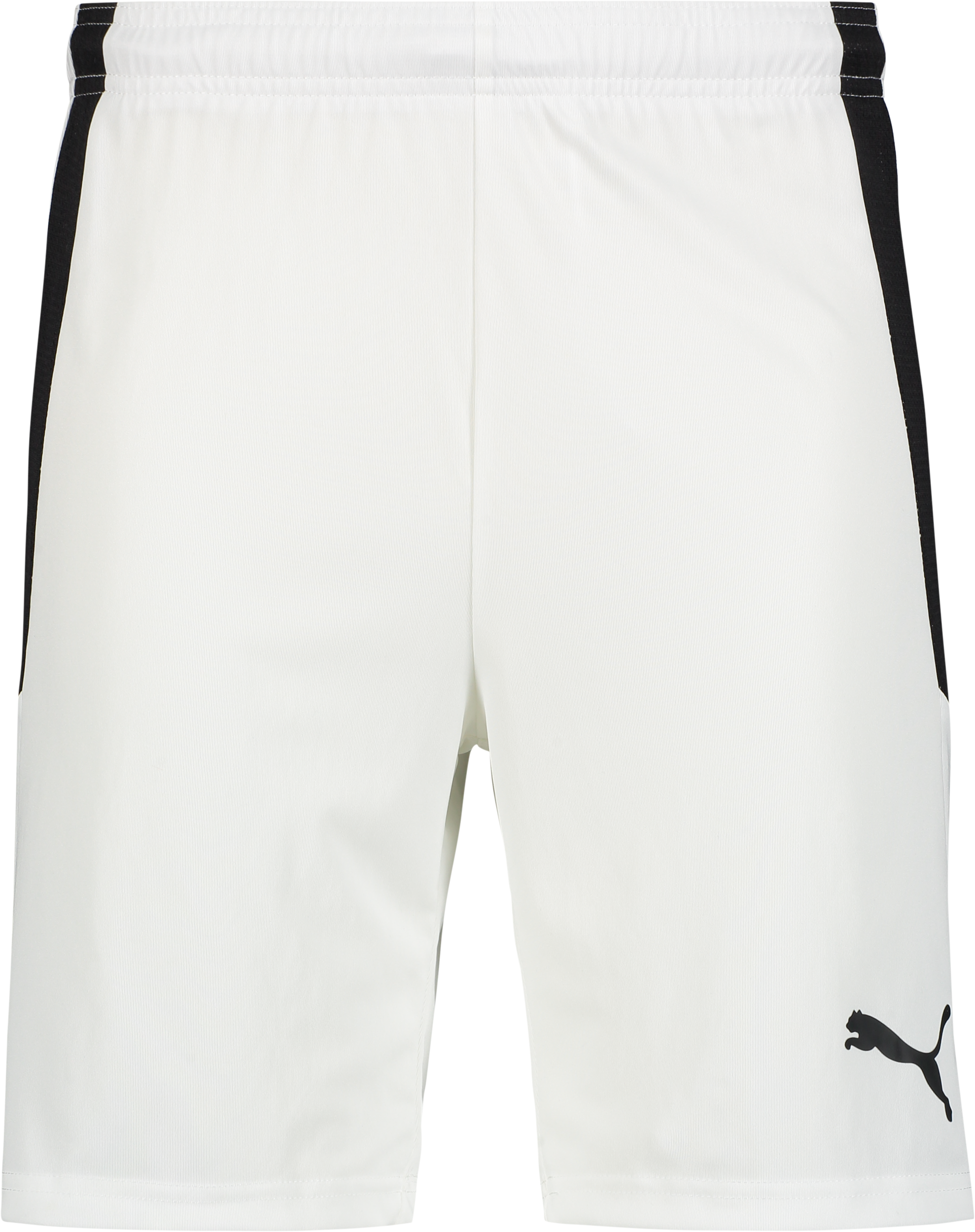 
PUMA, 
T Liga Shorts, 
Detail 1
