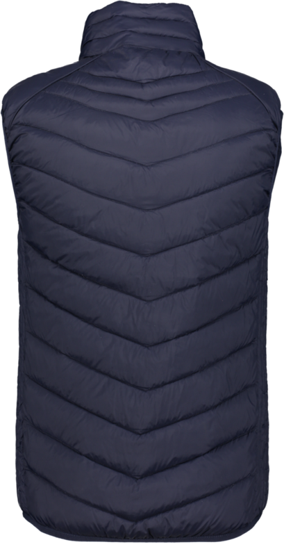 CLIQUE, Idaho Vest