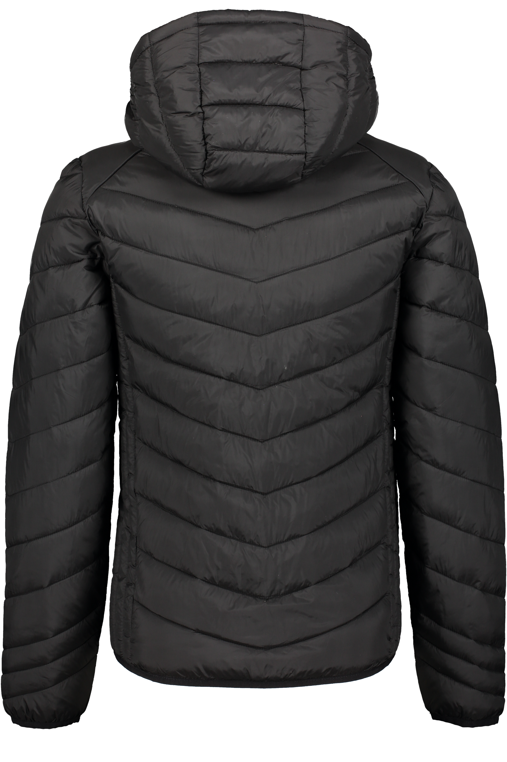 CLIQUE, Idaho Jkt