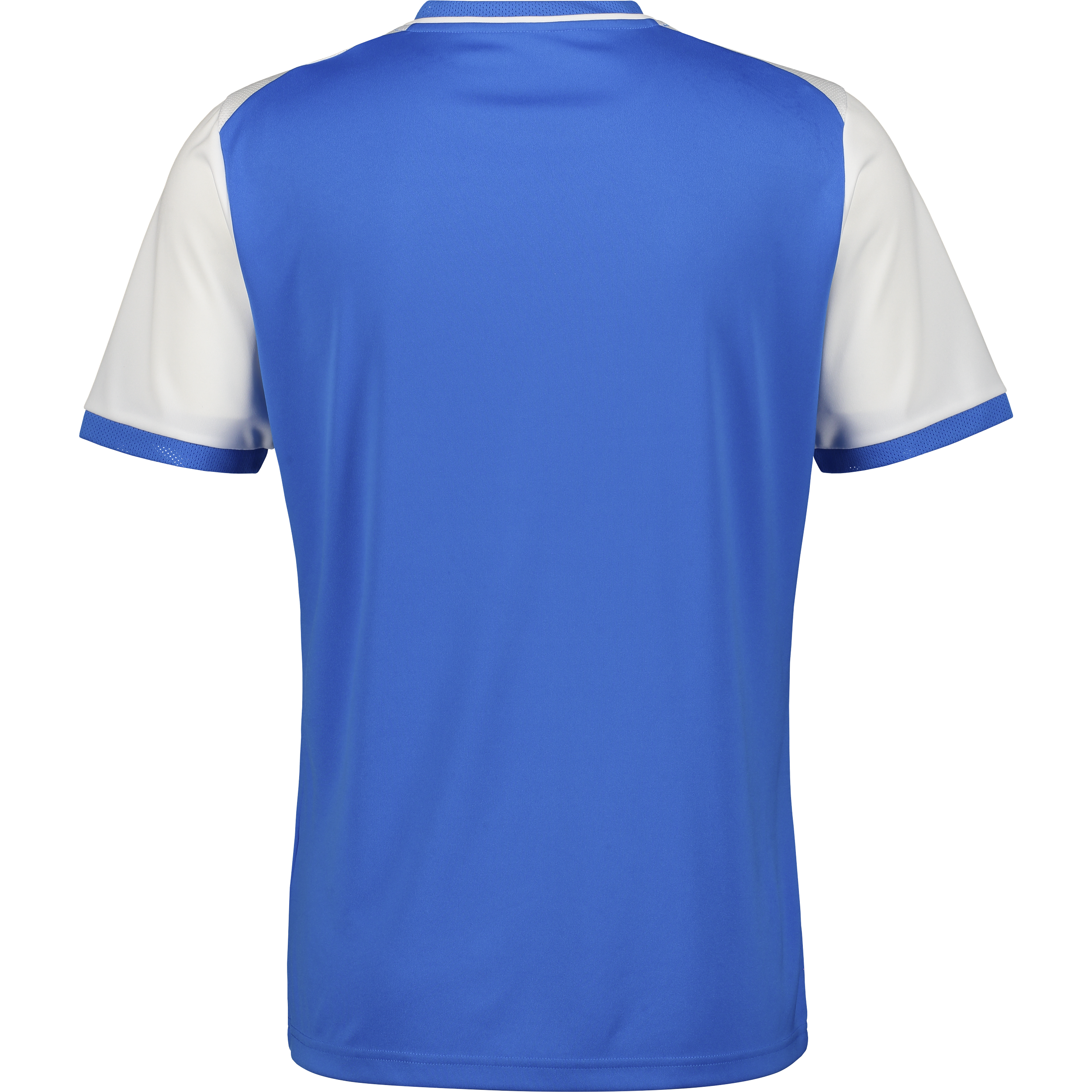 PUMA, TEAMLIGA26 MATCHDAY JERSEY