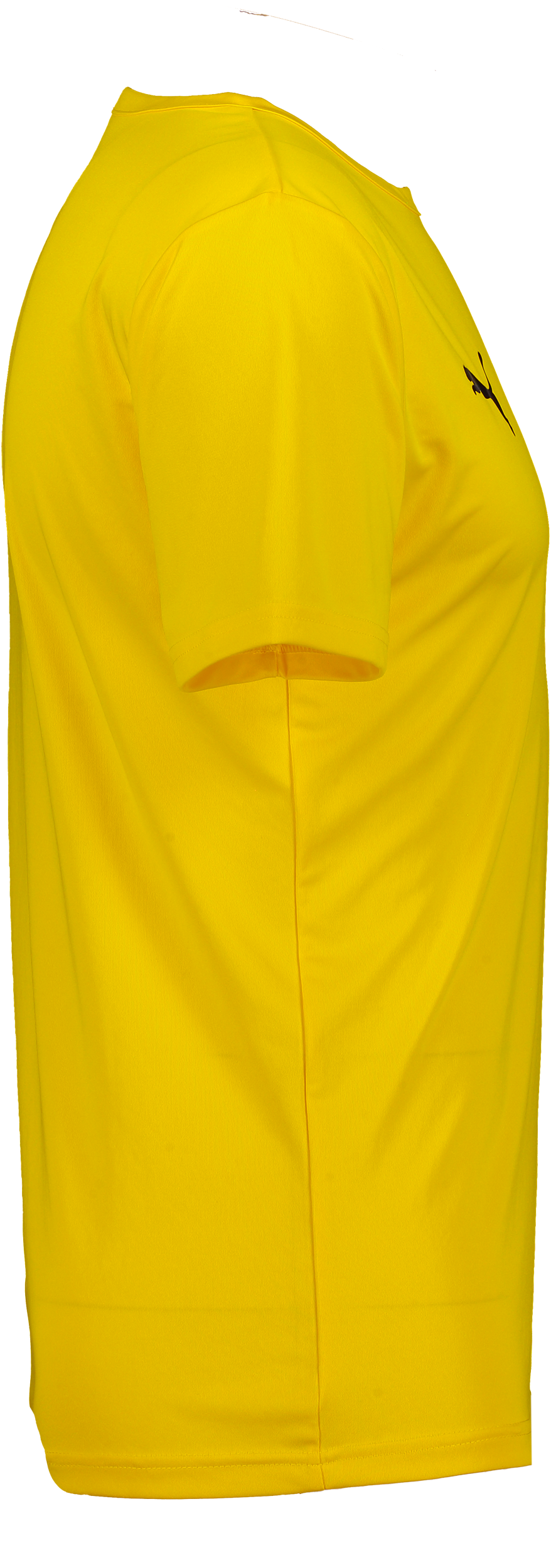 PUMA, T Rise Matchday Jsy Jr