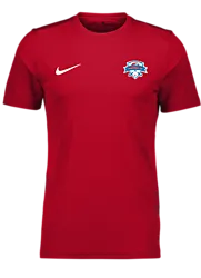 299007110101 NIKE Park VII SS Jsy 299007110101 NIKE Park VII SS Jsy Standard Small1x1