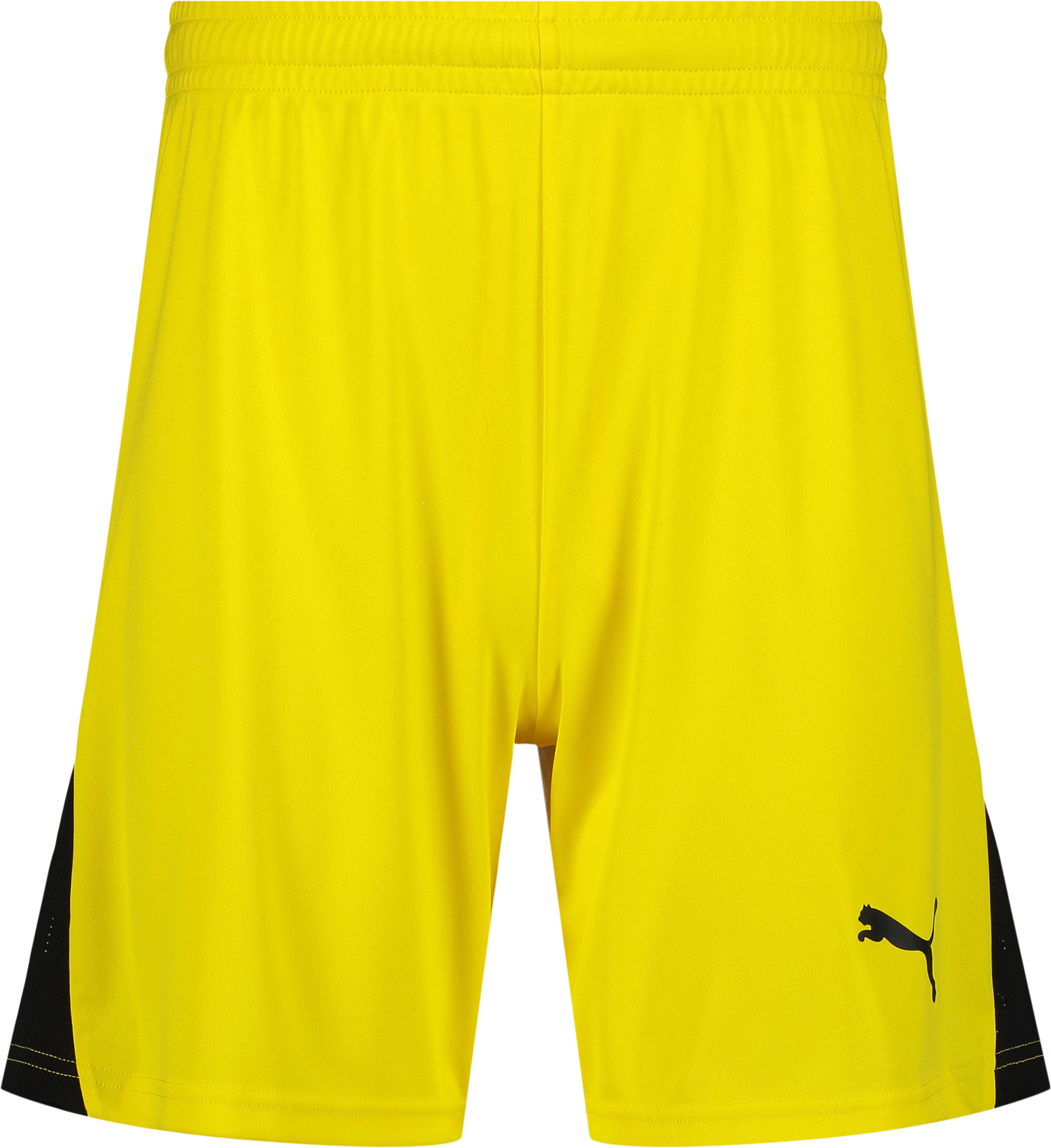 
PUMA, 
TEAMLIGA26 SHORTS, 
Detail 1
