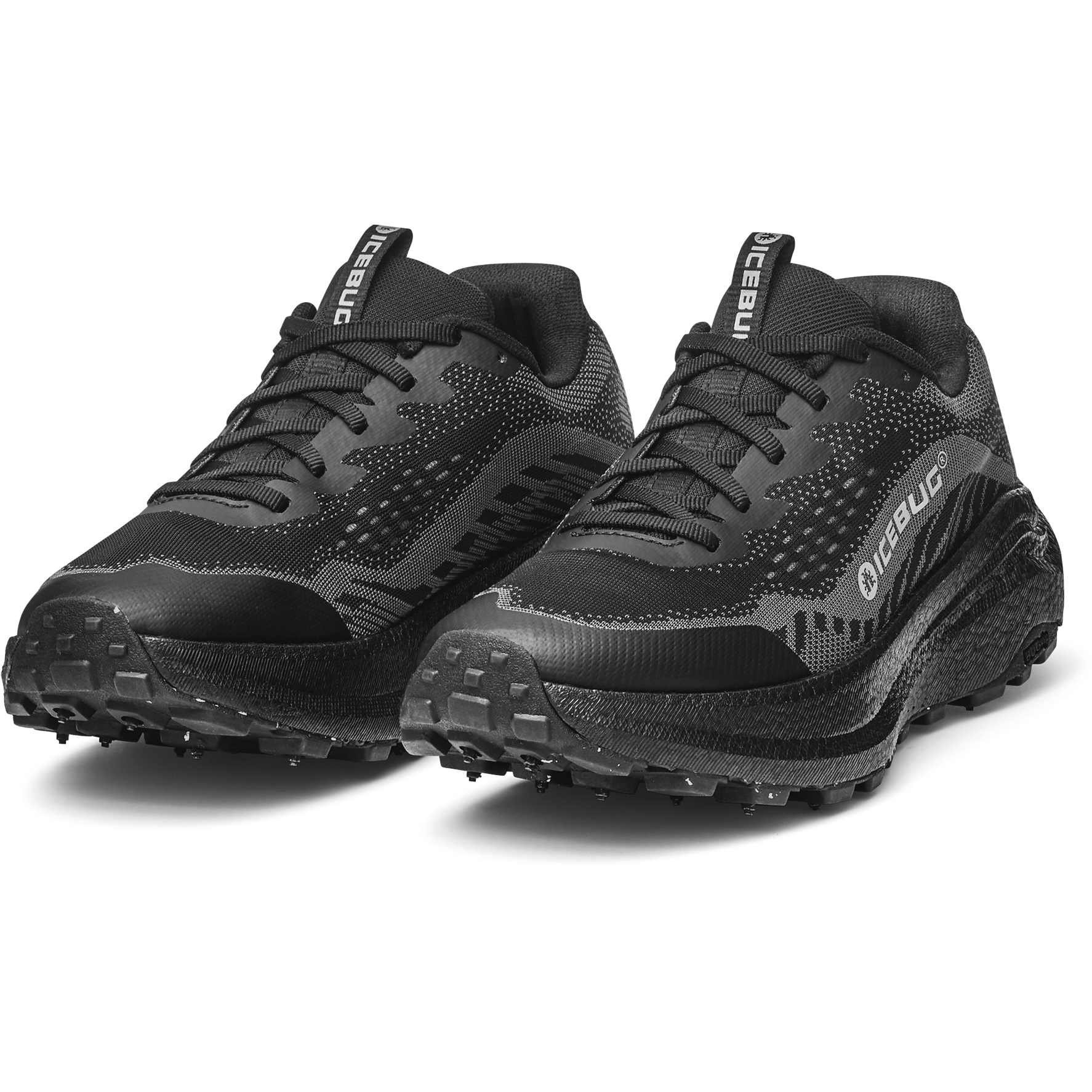 ICEBUG, W Myr Bugrip