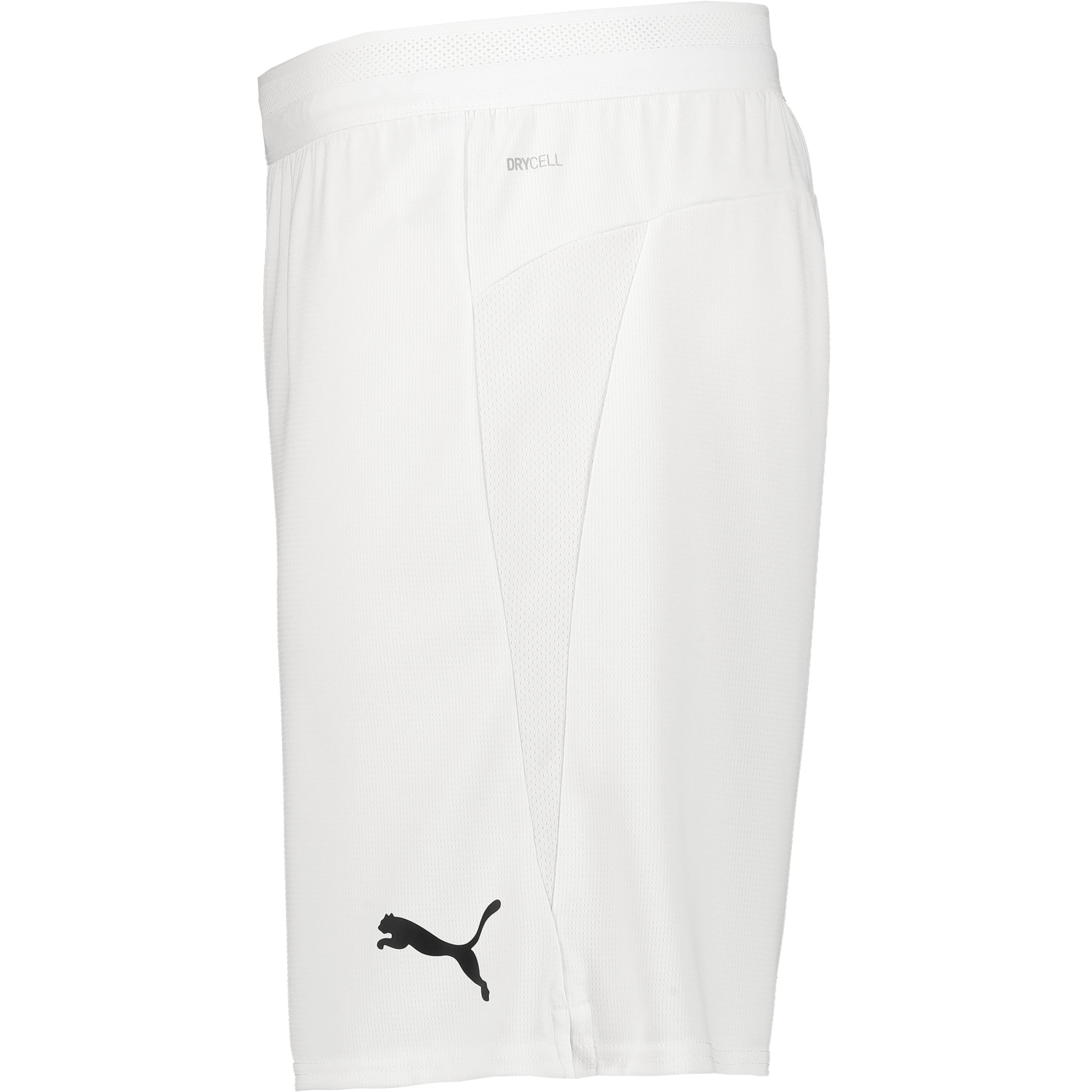 PUMA, Teamcup Shorts