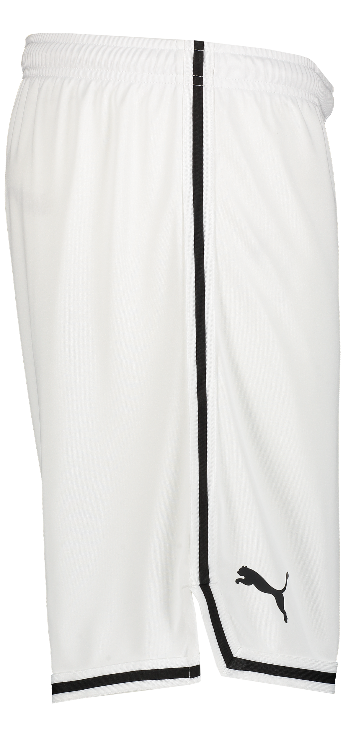 PUMA, Hoops Team Game Short