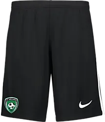 380812101101 NIKE League III Knit Shorts 380812101101 NIKE League III Knit Shorts Standard Small1x1