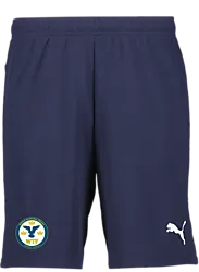 391942106101 PUMA T Goal Shorts 391942106101 PUMA T Goal Shorts Standard Small1x1
