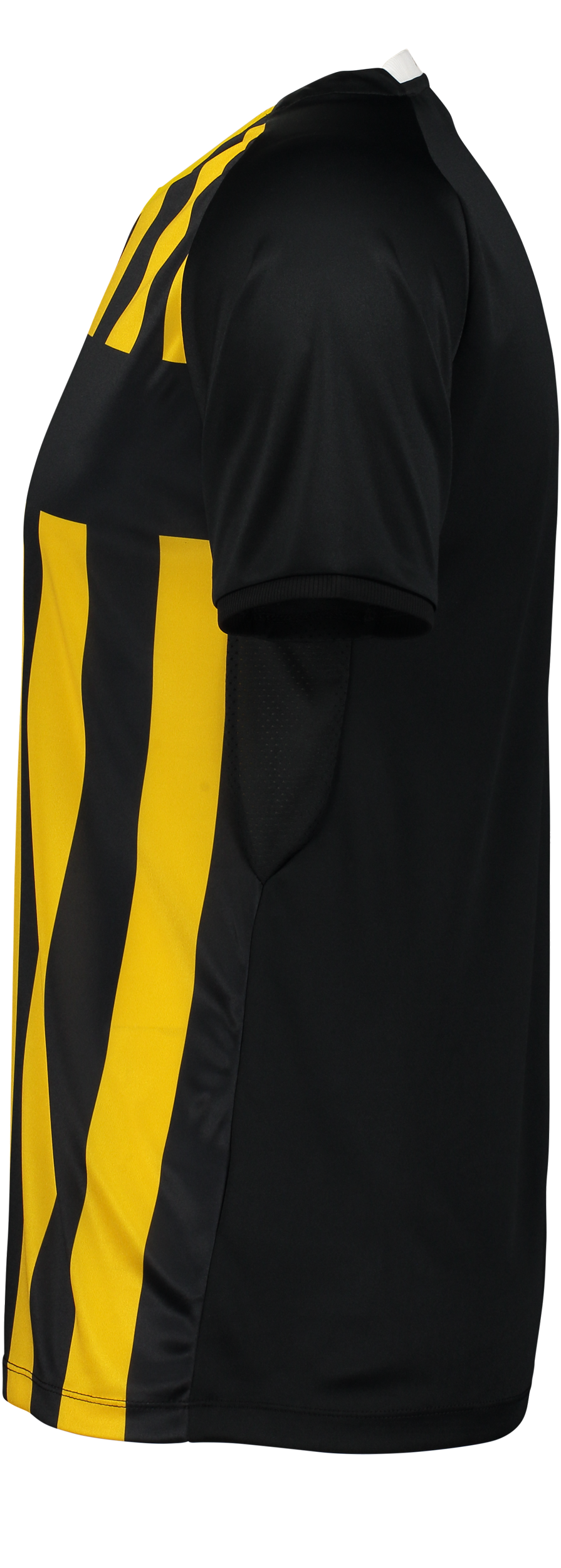 CRAFT, Progress 2.0 Str M