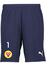 391942106101 PUMA T Goal Shorts 391942106101 PUMA T Goal Shorts Standard Small1x1