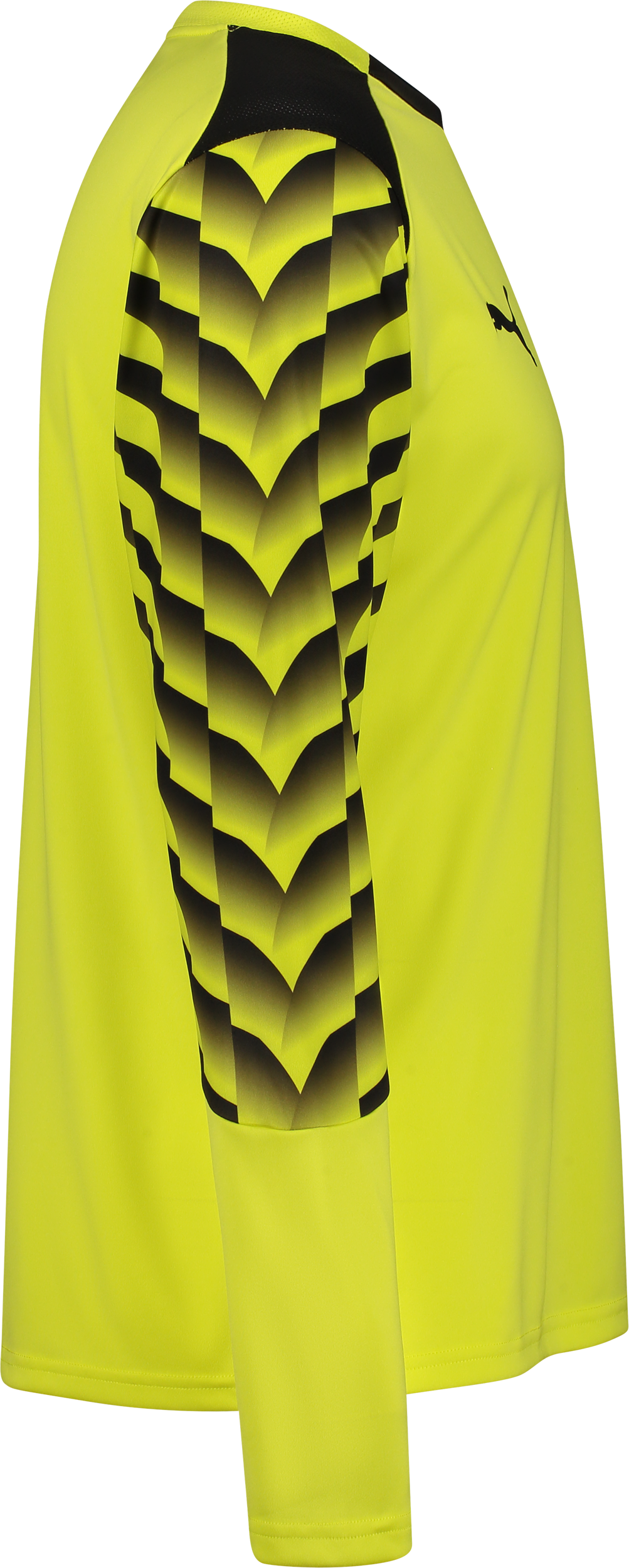 PUMA, TEAMLIGA26 GK JERSEY LS JR