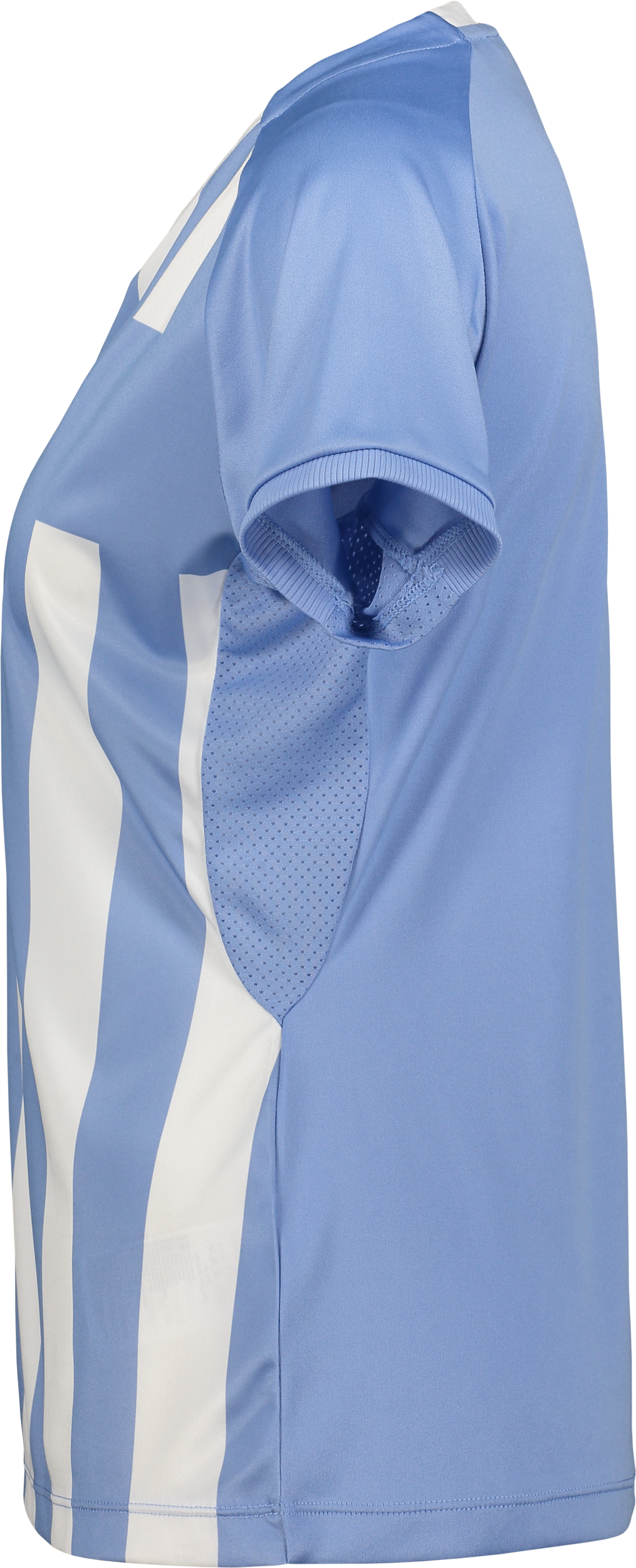 CRAFT, Prog 2.0 Striped Jsy W