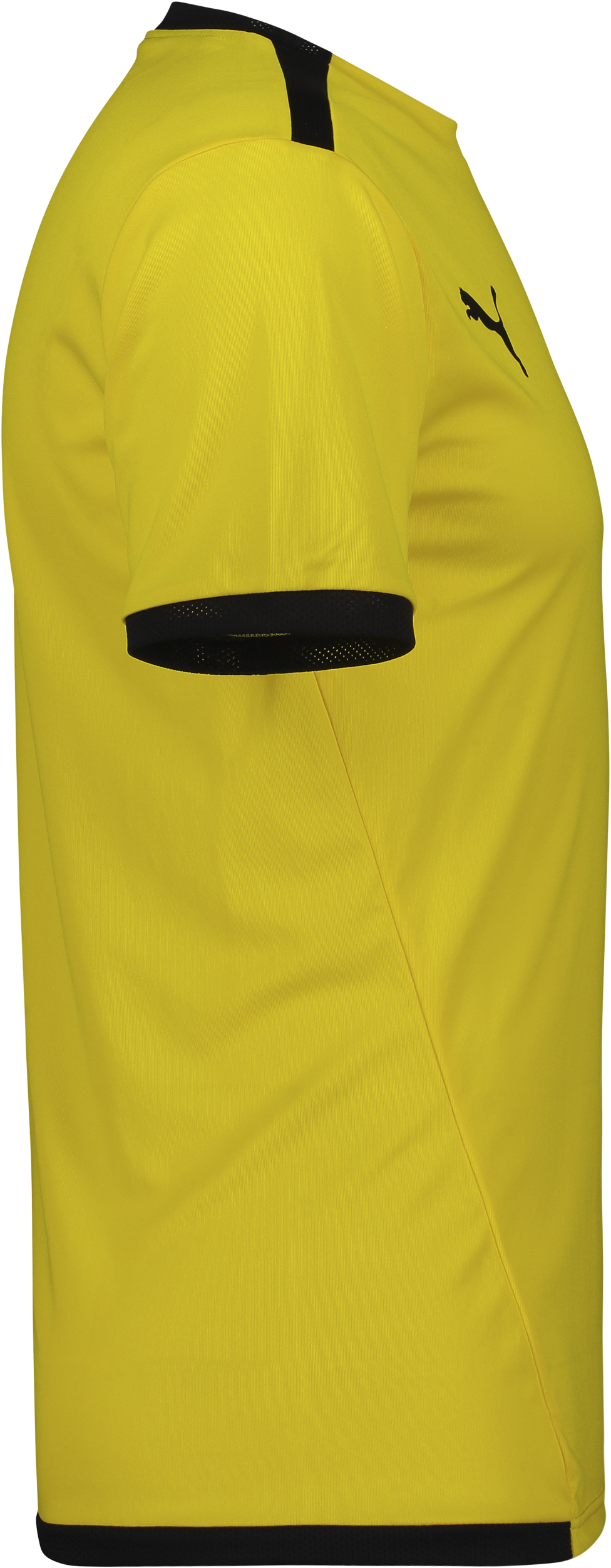 PUMA, T Liga Ss Jsy Jr