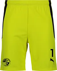 361522107101 PUMA T Liga Shorts 361522107101 PUMA T Liga Shorts Standard Small1x1