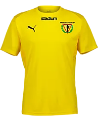 392096107101 PUMA T Goal Trg Jsy Jr 392096107101 PUMA T Goal Trg Jsy Jr Standard Small1x1