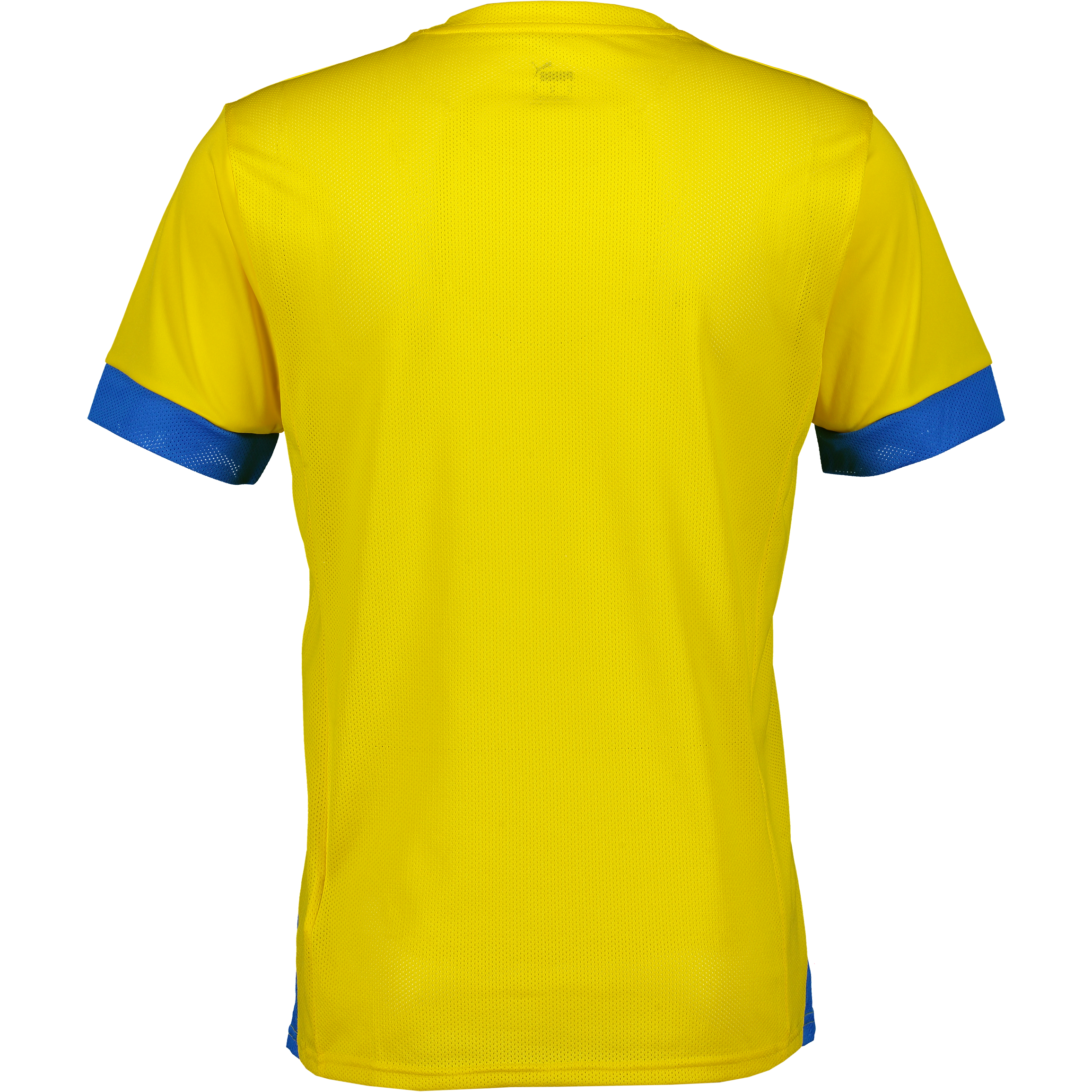 PUMA, Sibf Replica Tee Jr