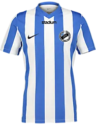 400665103101 NIKE Stripe Dvsn Jsy 400665103101 NIKE Stripe Dvsn Jsy Standard Small1x1