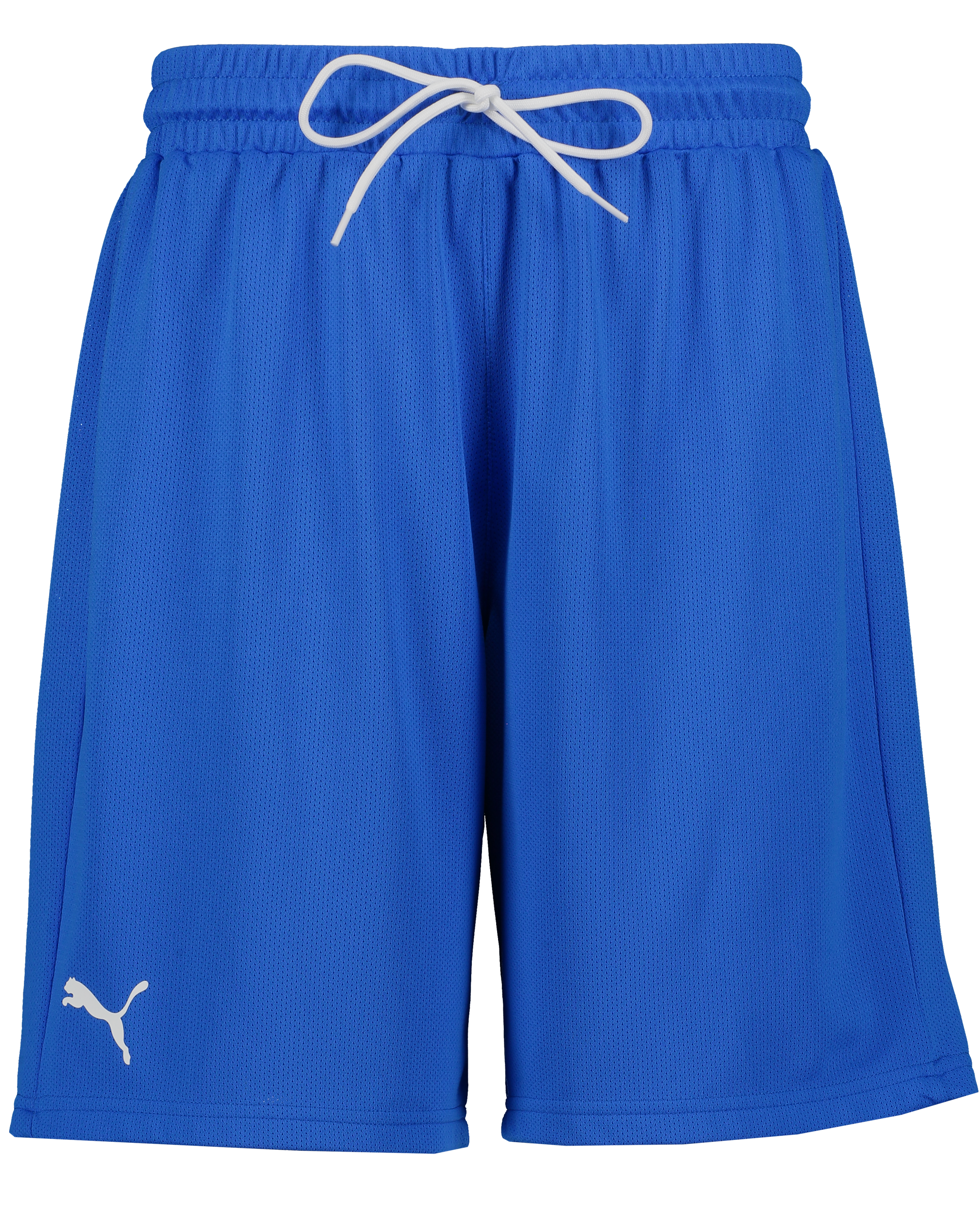 
PUMA, 
Hoops Team Junior Practice Short, 
Detail 1
