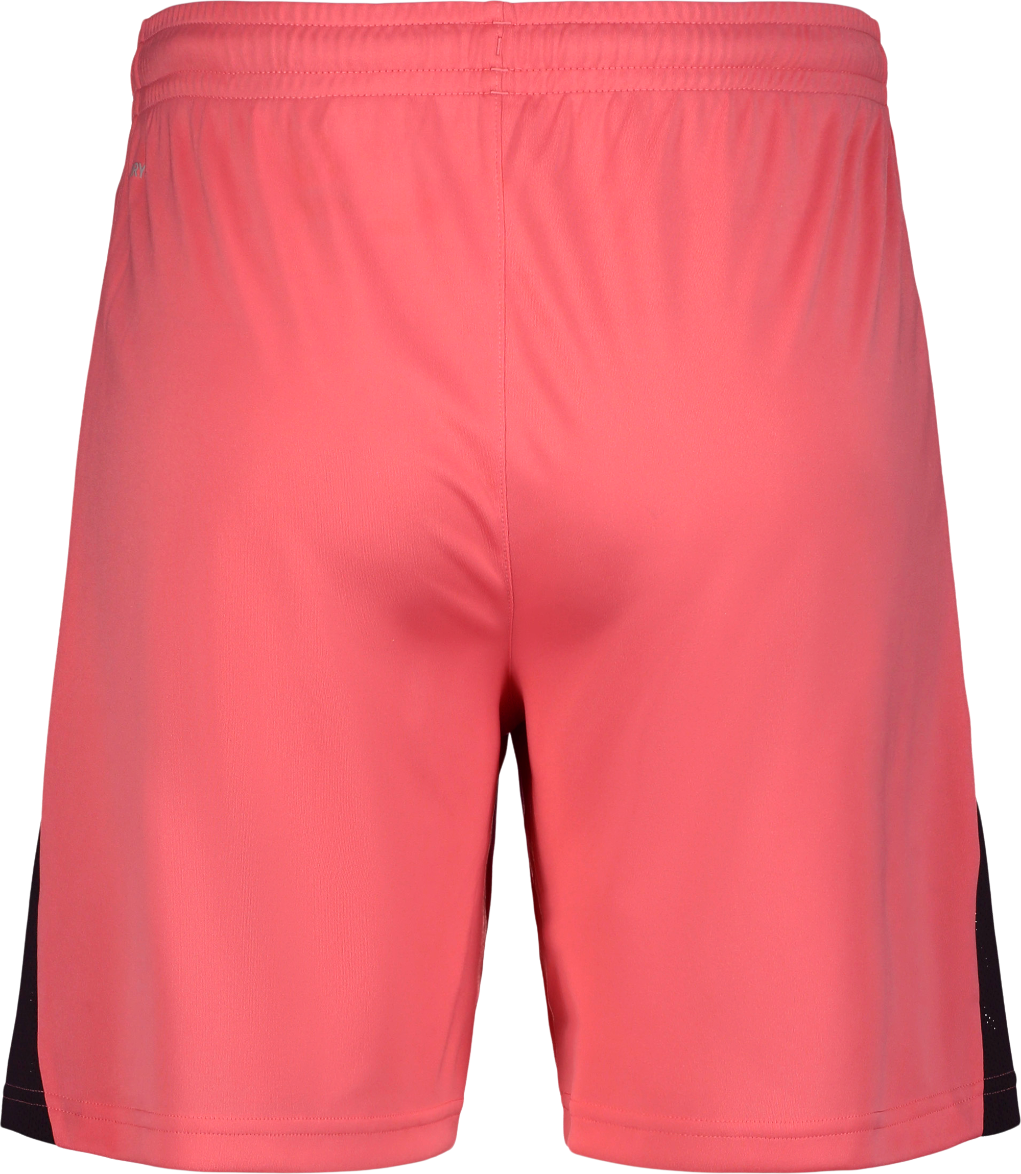 PUMA, TEAMLIGA26 SHORTS