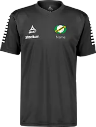 325504103101 SELECT Pisa Ss Jsy 325504103101 SELECT Pisa Ss Jsy Standard Small1x1