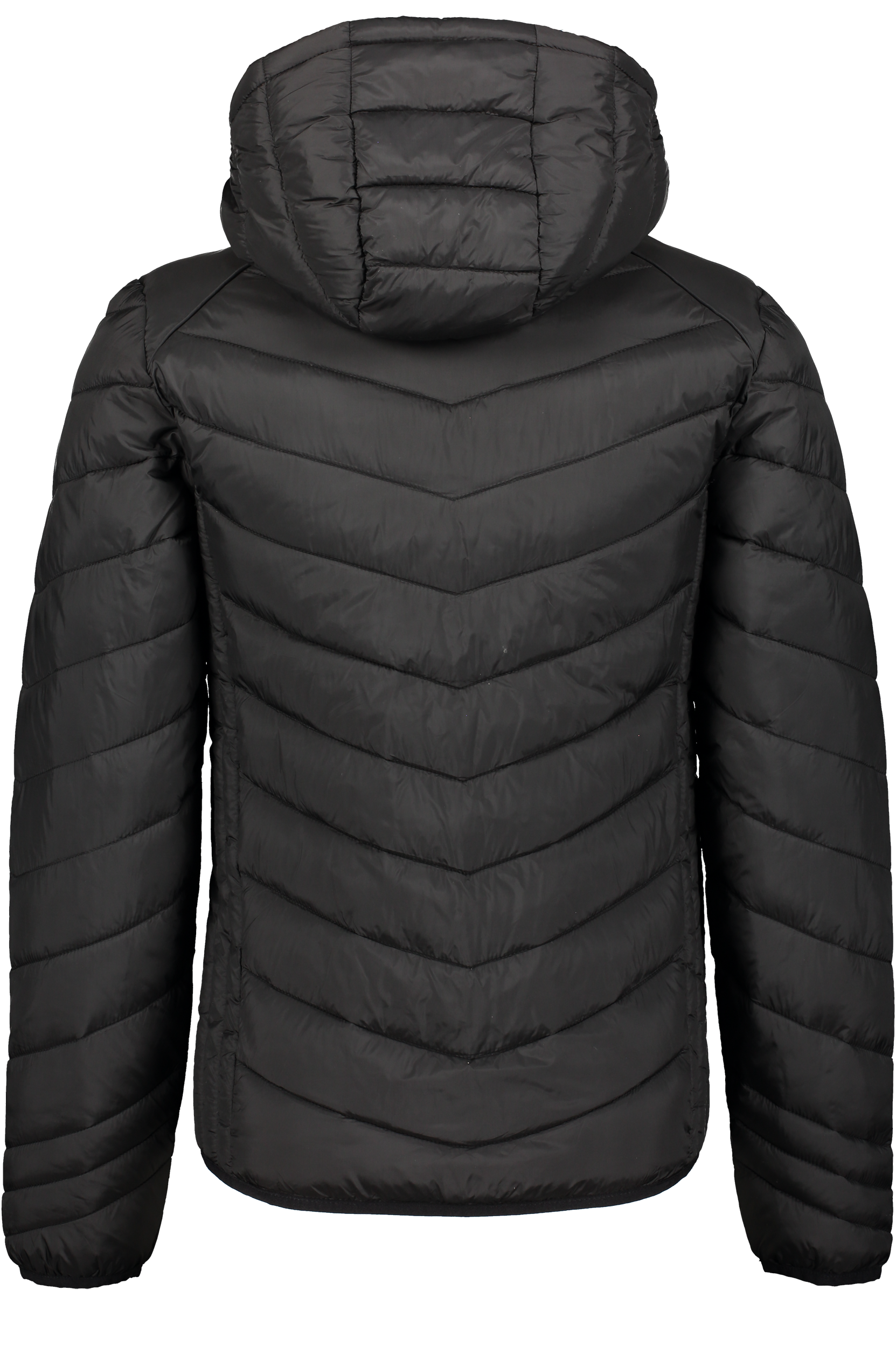 CLIQUE, Idaho Jkt