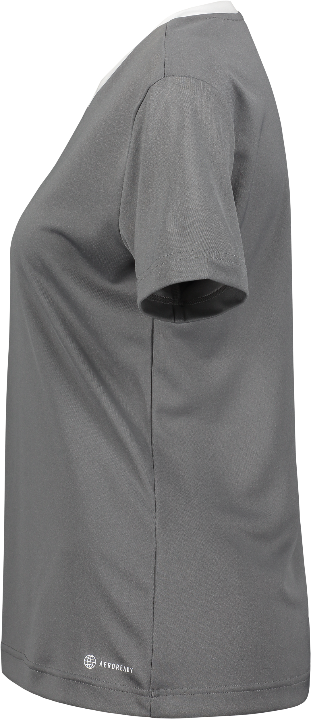 ADIDAS, Ent22 Jsy Tee W