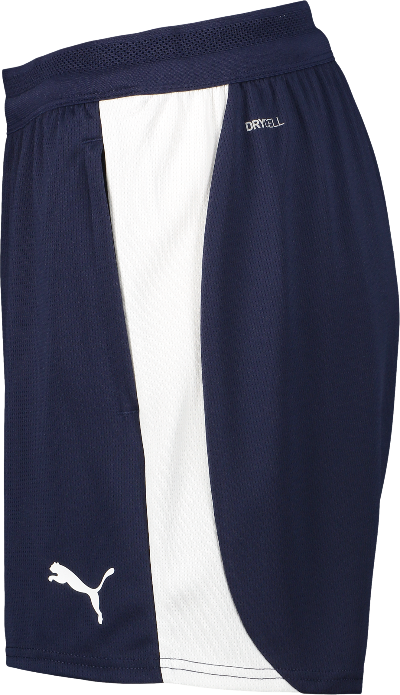 PUMA, T FINAL26 TRG SHO W