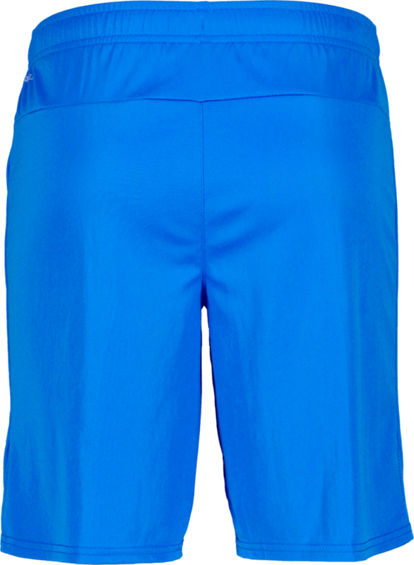 PUMA, T Goal Shorts