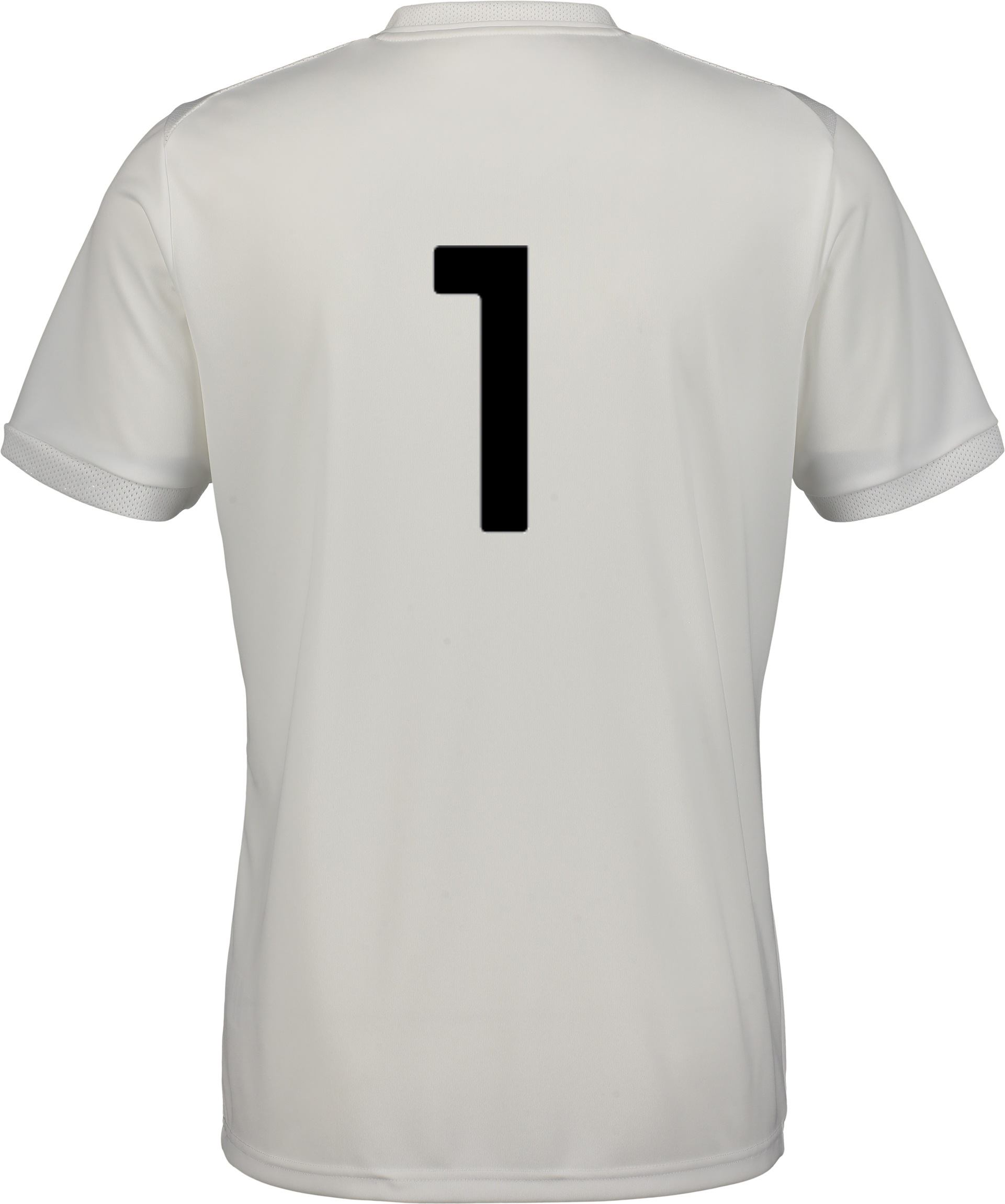 PUMA, TEAMLIGA26 MATCHDAY JERSEY