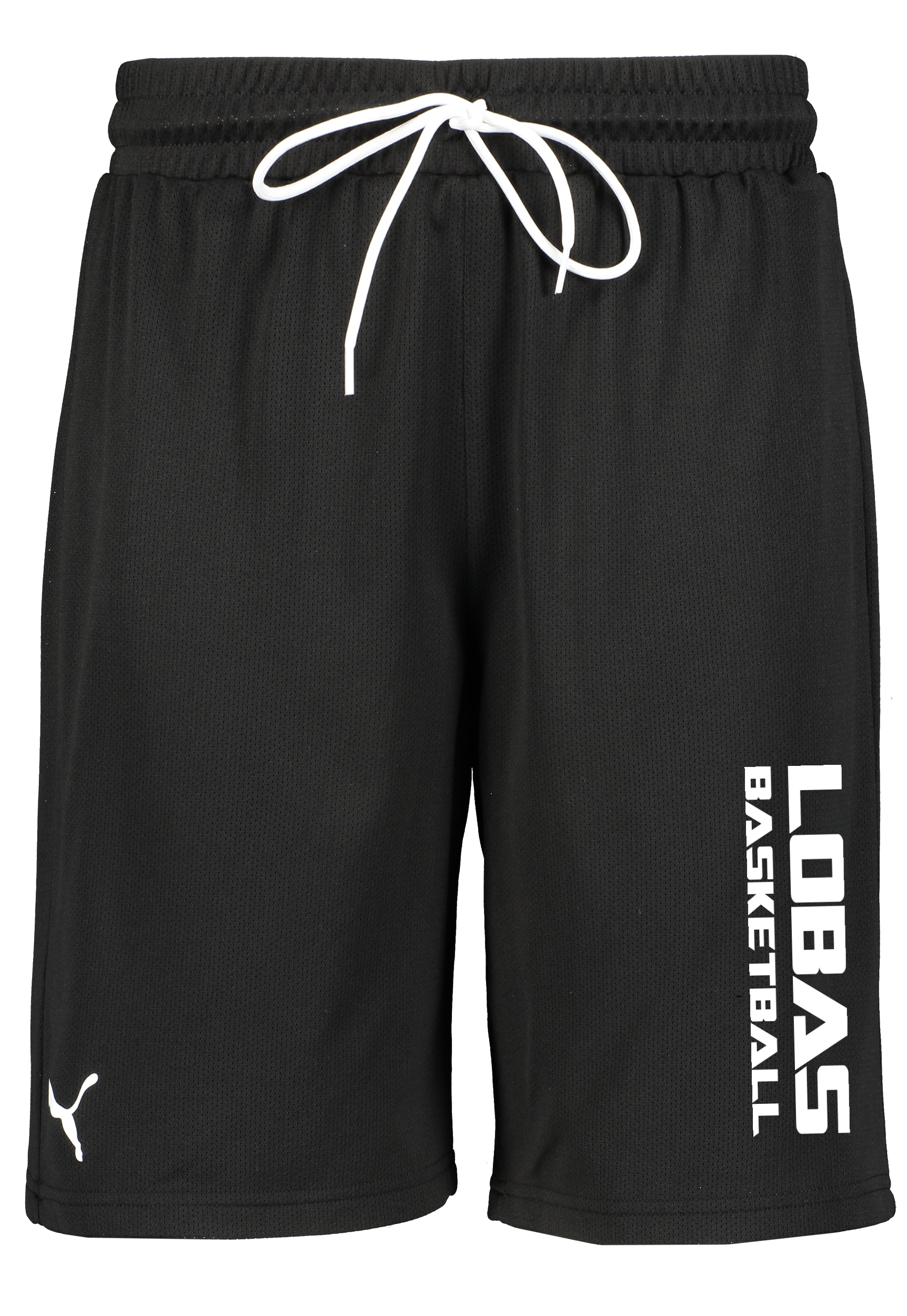 
PUMA, 
Hoops Team Practice Short, 
Detail 1
