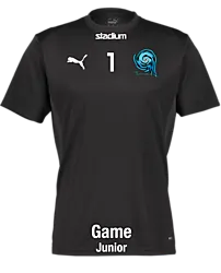 392096103101 PUMA T Goal Trg Jsy Jr 392096103101 PUMA T Goal Trg Jsy Jr Standard Small1x1